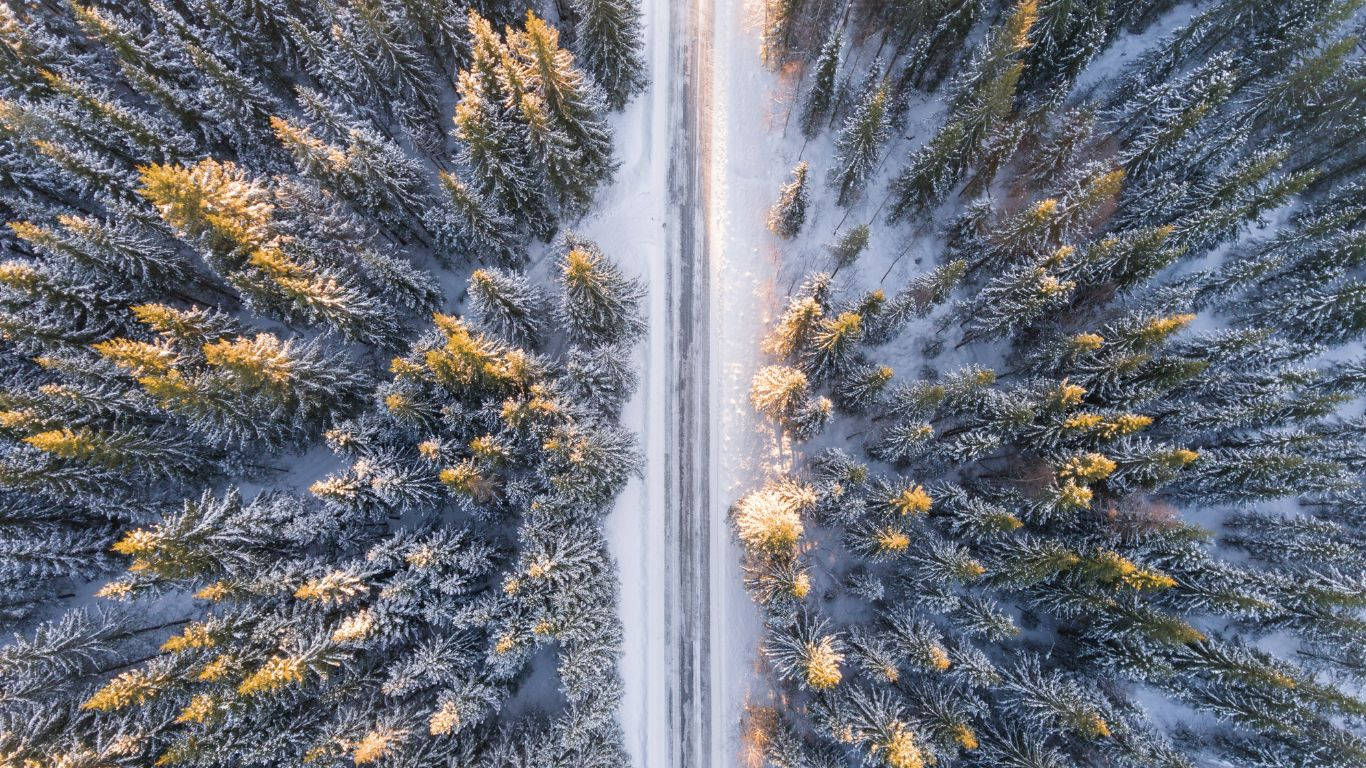 A Snowy Winter Scene Background