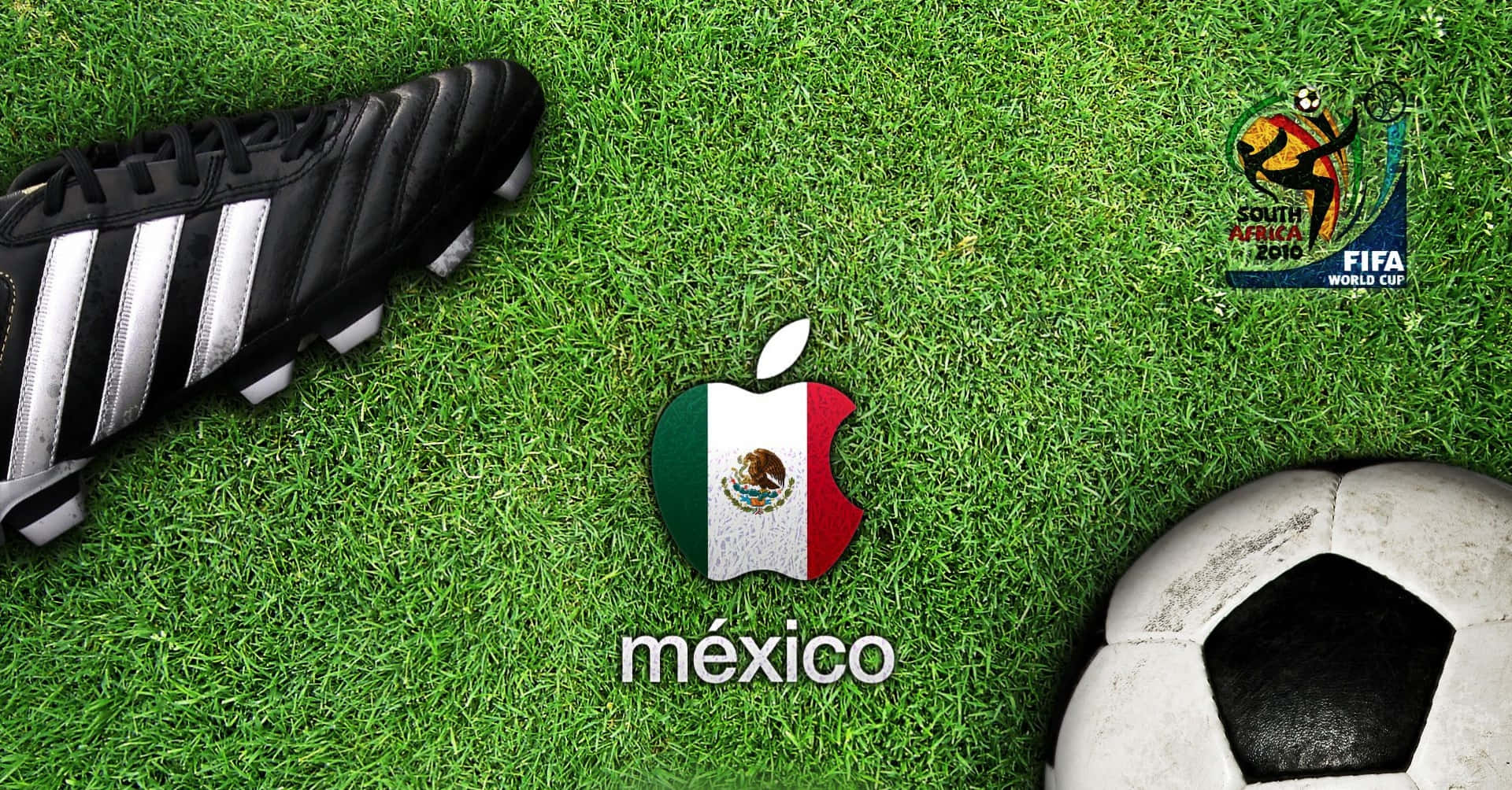 A Soccer Ball And A Soccer Shoe On Grass Background
