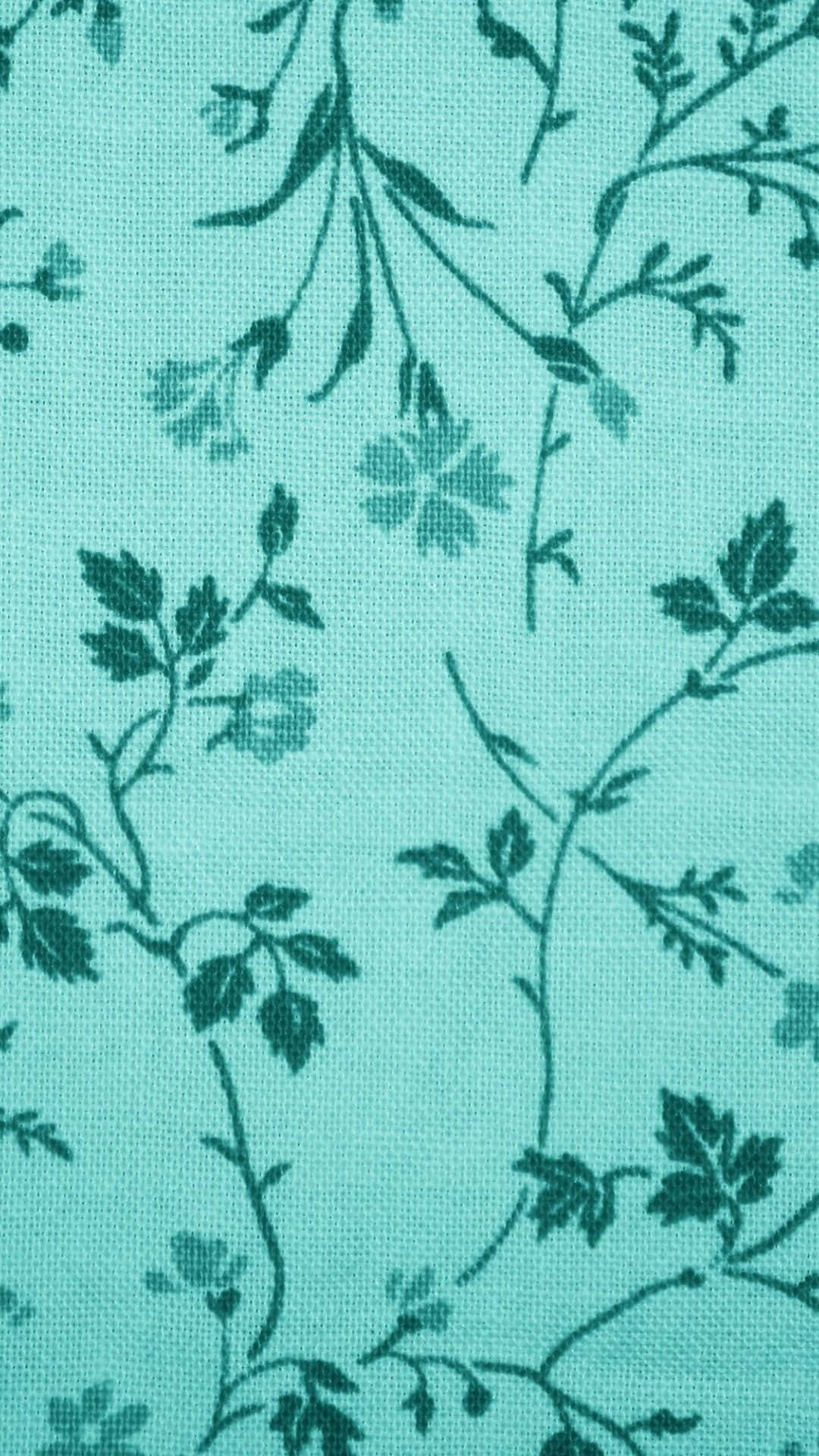 A Soft Teal Flower Petal Against A Dark Background Background