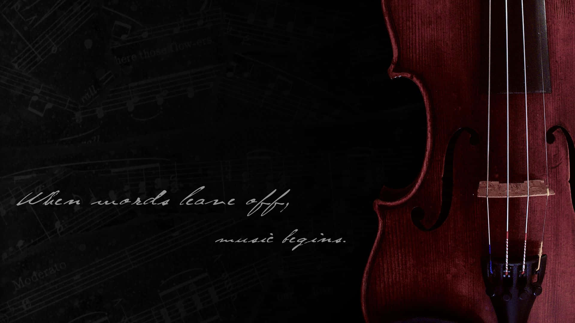 A Solo Violin Performer Background