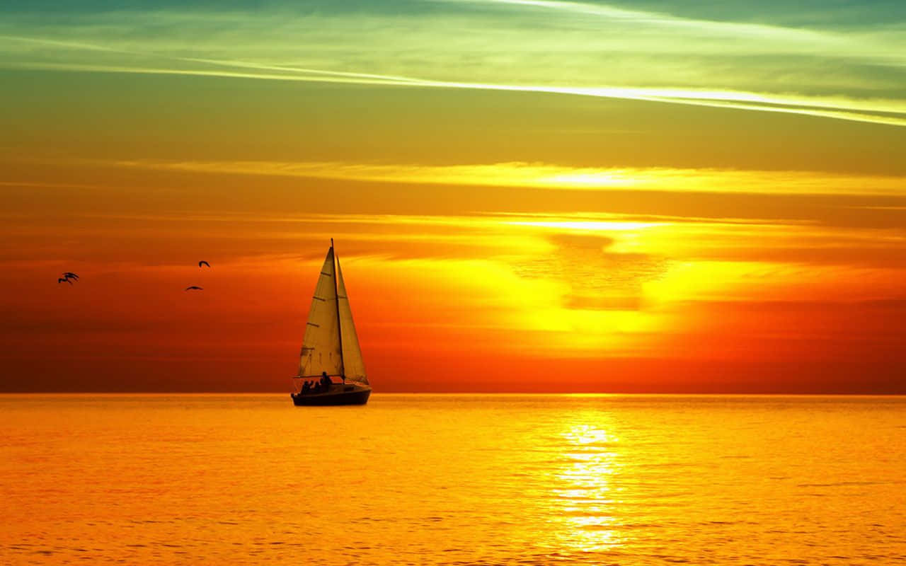 “a Spectacular Sunrise” Background