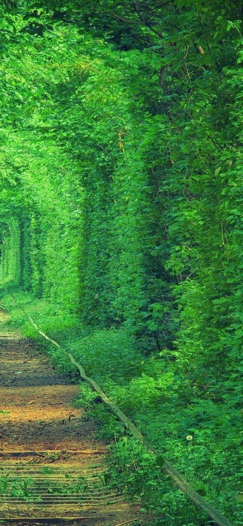 A Spectacular View Of Nature In A Vertical Landscape Background