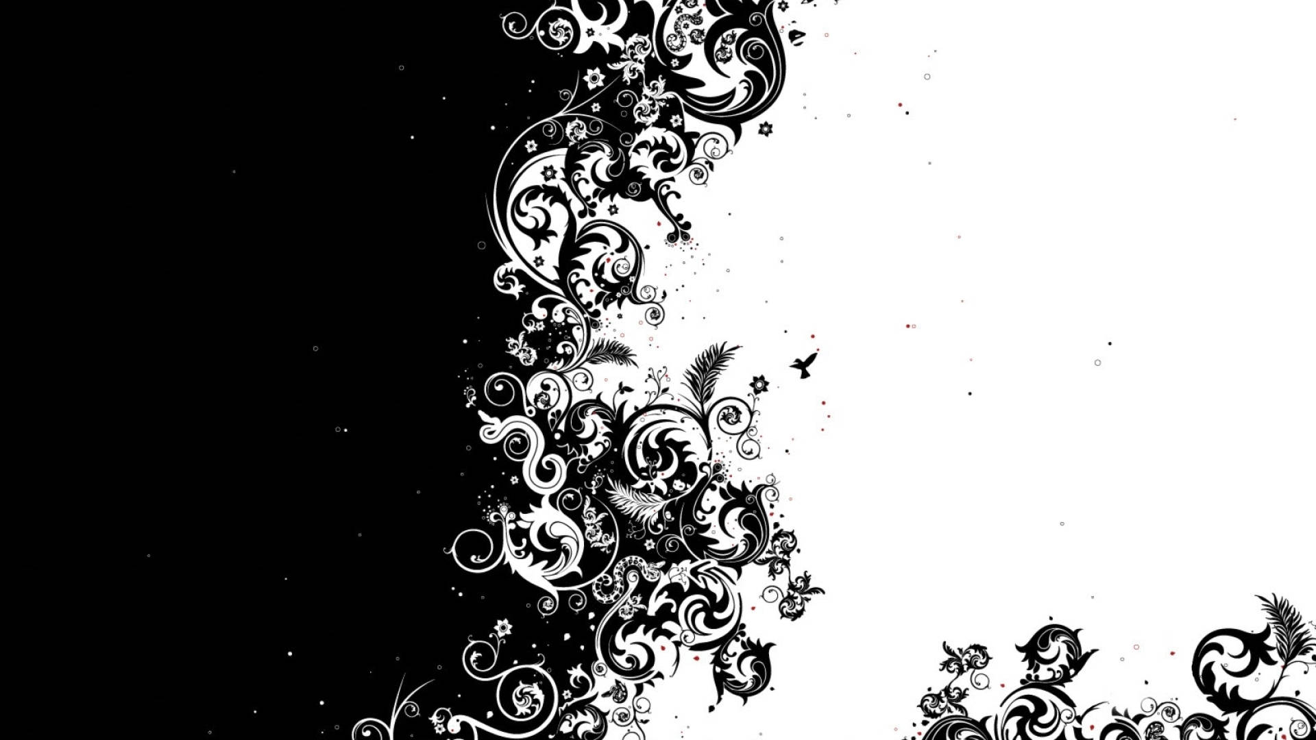 A Split Of Black And White Shapes Background