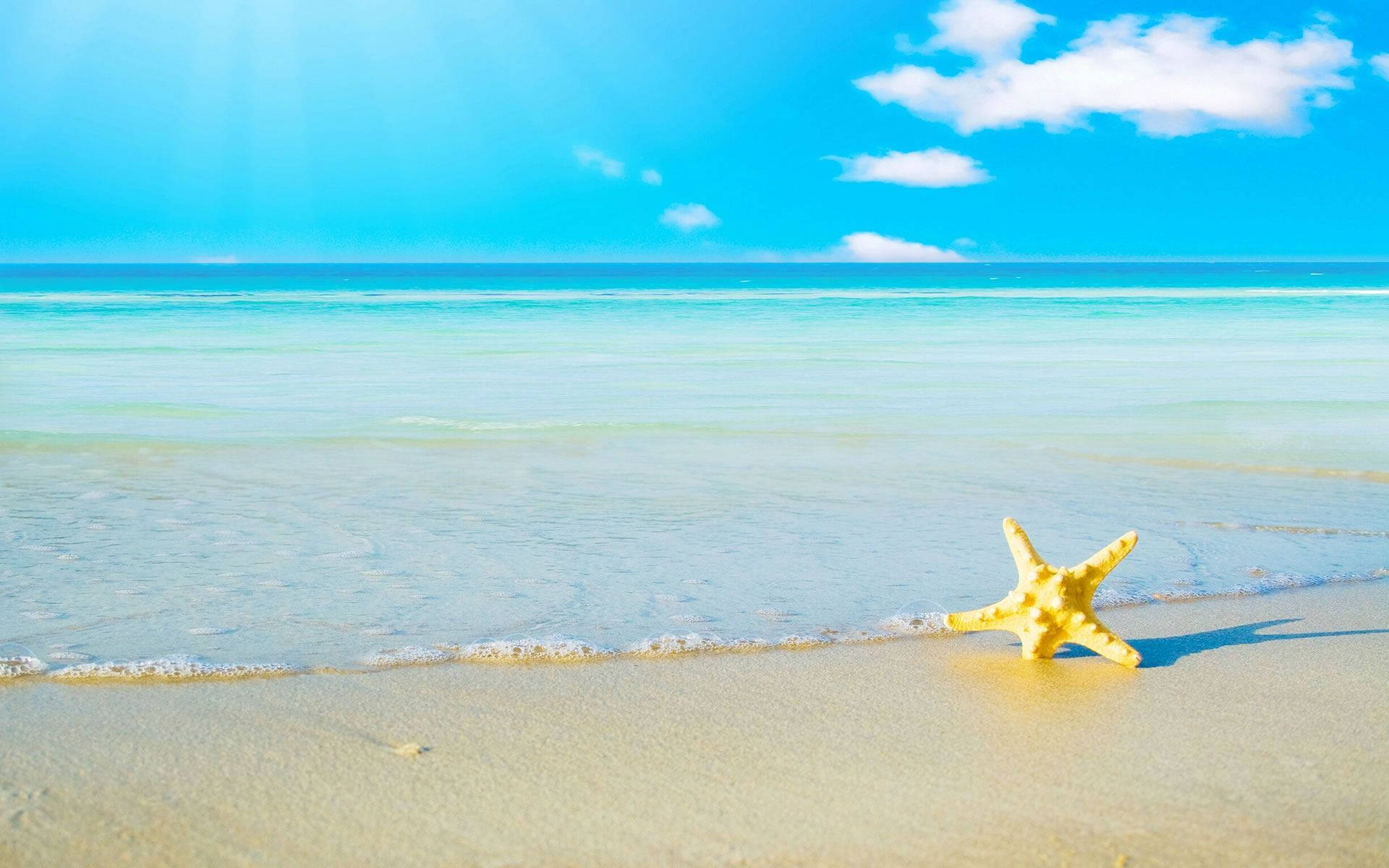 A Starfish On A Beach With Blue Sky And Sun Background