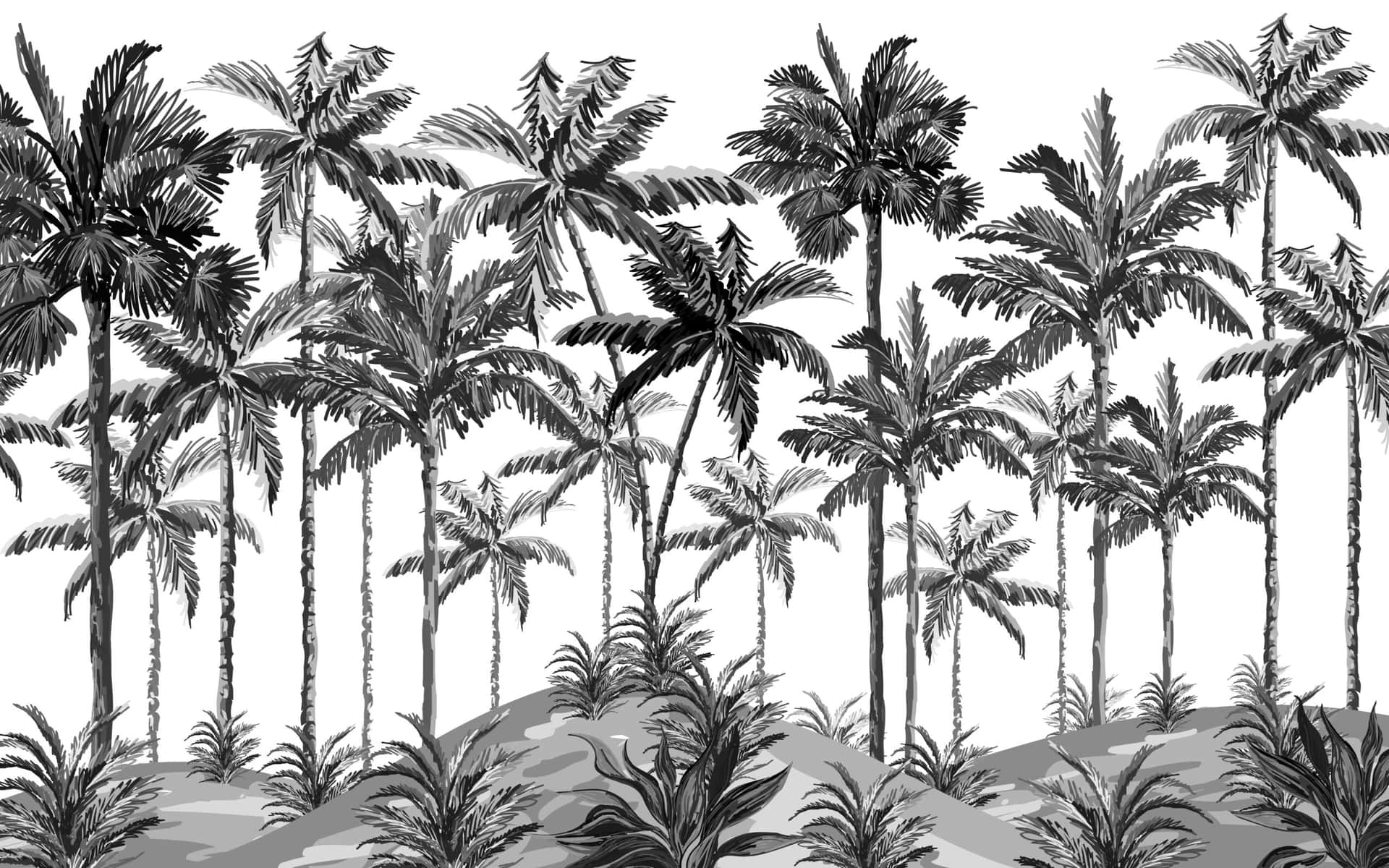 A Stark Contrast Between Black And White Casts A Cool And Calming Palm Tree Silhouette Background