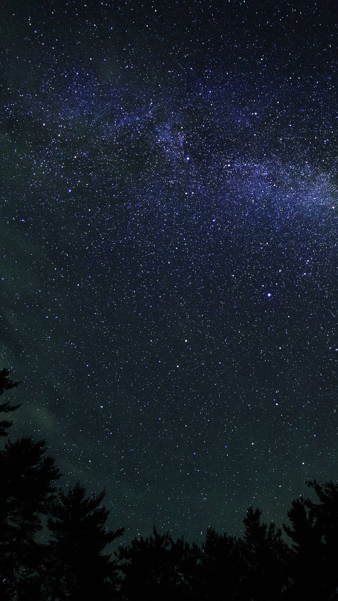 A Starry Sky With Trees And Trees Background