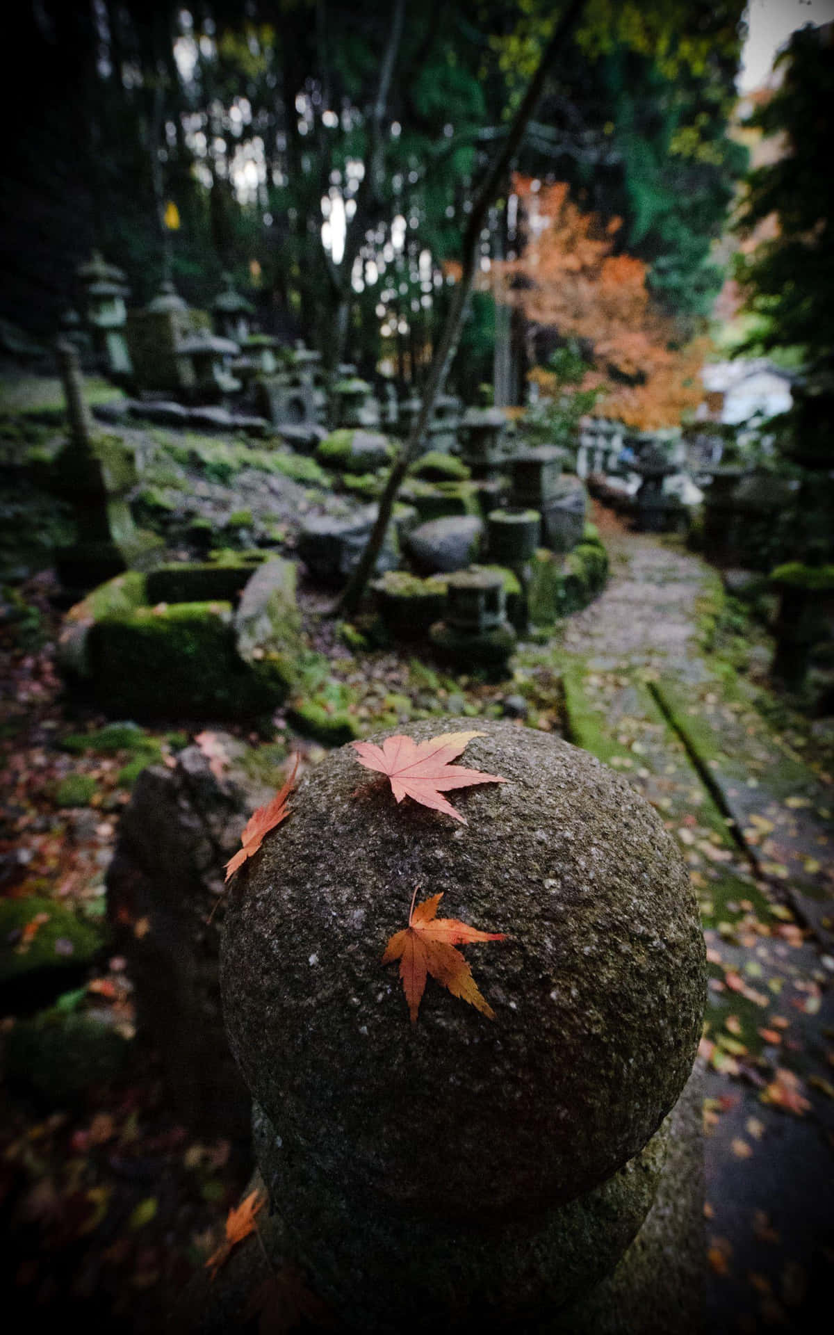 A Stone Pillar With Leaves On It