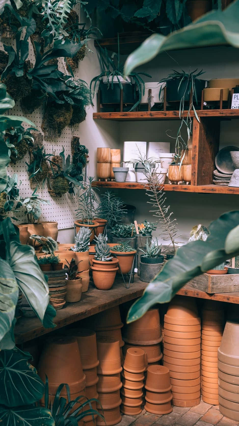A Store With Many Pots And Plants Background