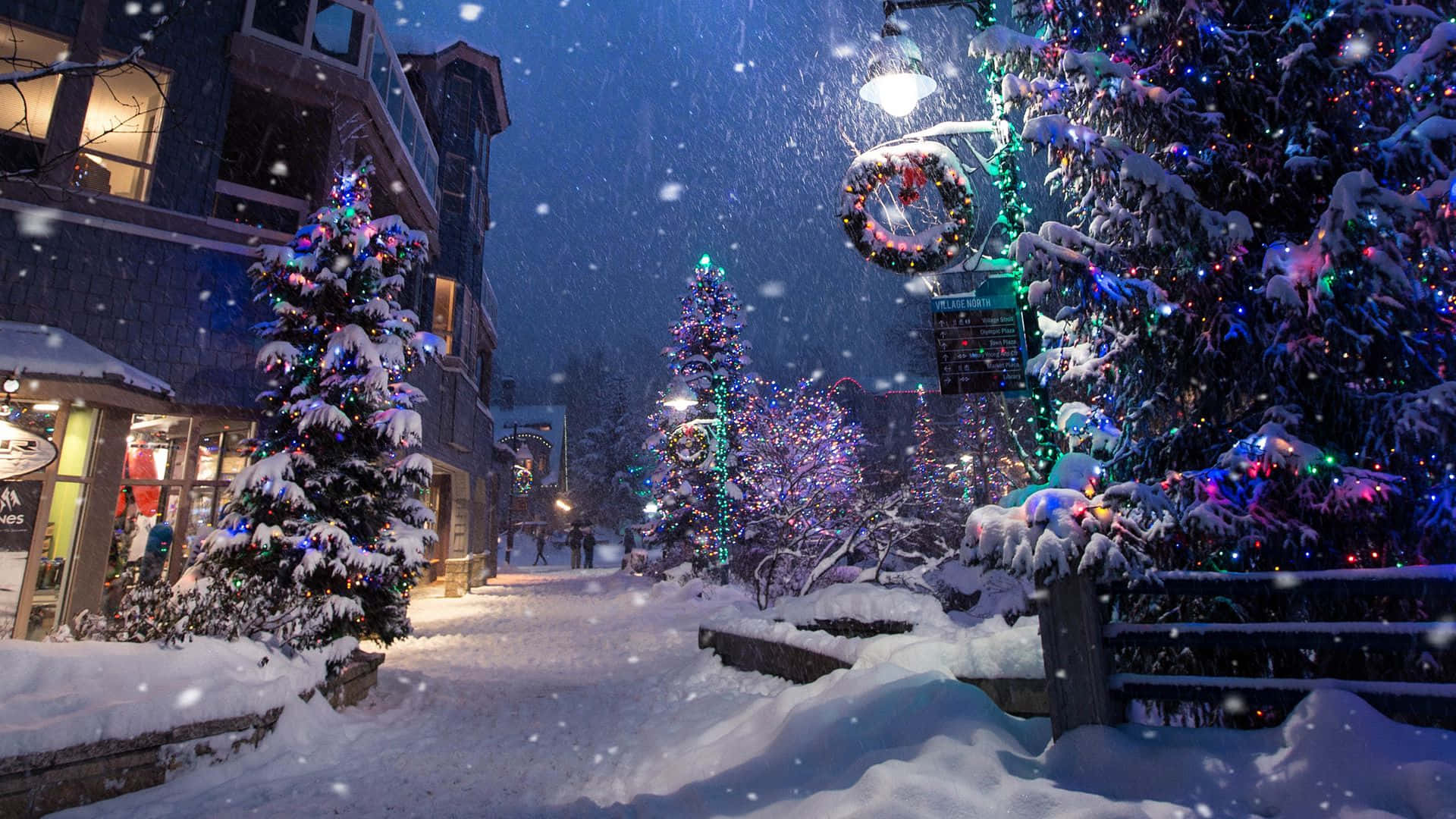 A Street With Christmas Trees And Lights In The Snow Background