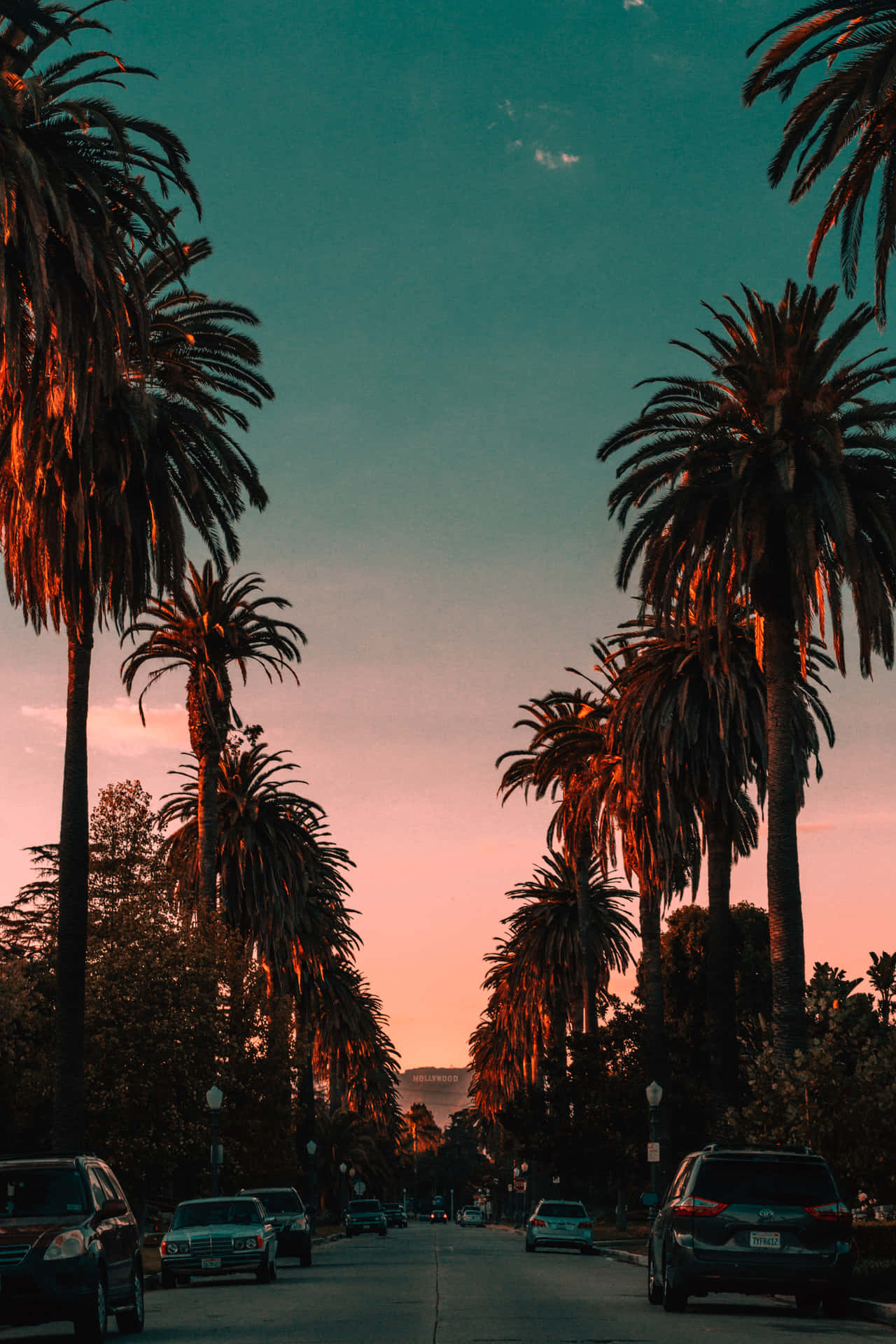 A Street With Palm Trees Background