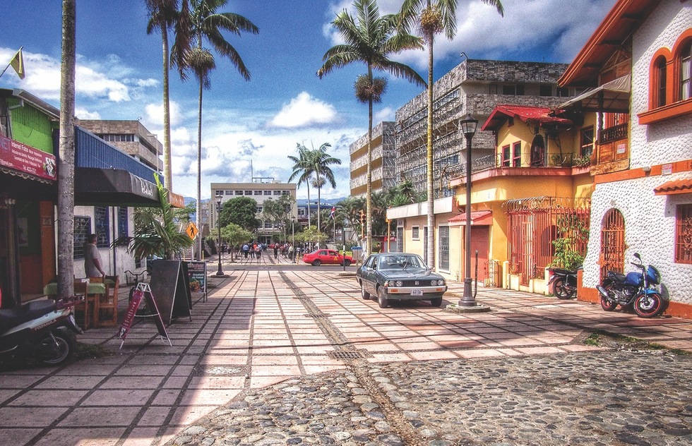 A Street With Palm Trees And Buildings Background