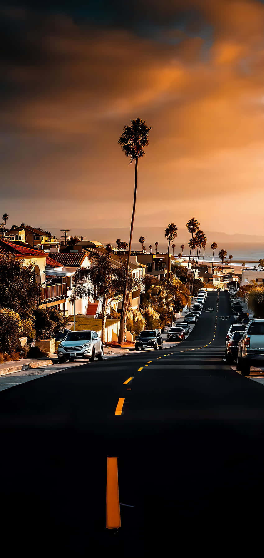 A Street With Palm Trees And Cars At Sunset Background