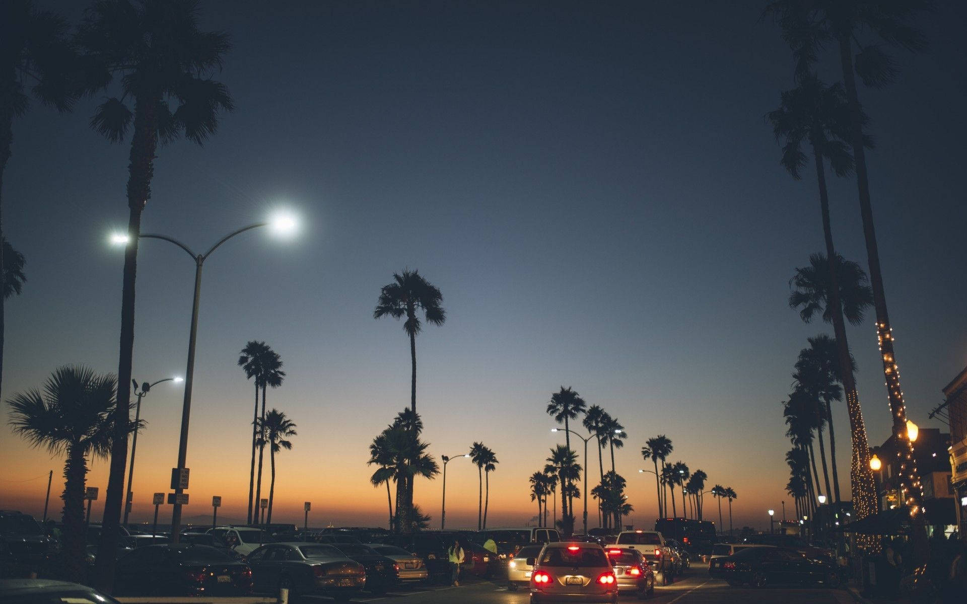 A Street With Palm Trees At Dusk