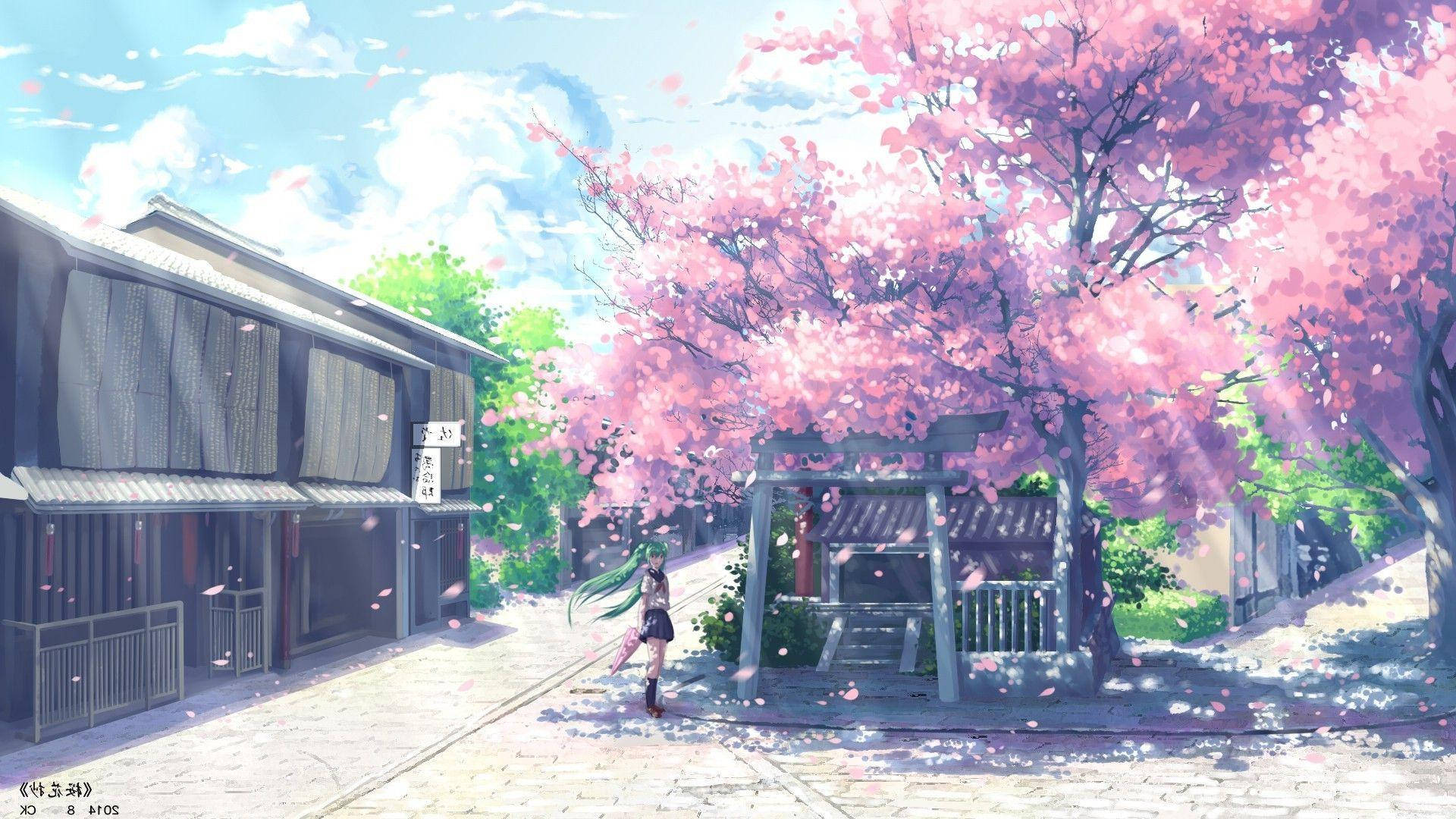 A Street With Pink Blossom Trees And A House Background