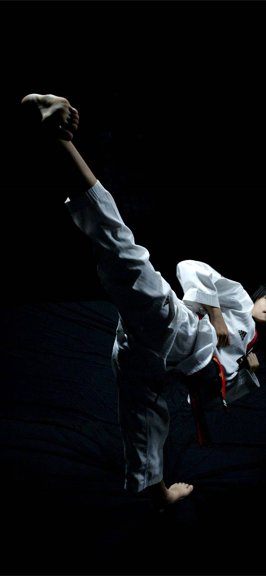 A Striking Display Of Taekwondo Power Background