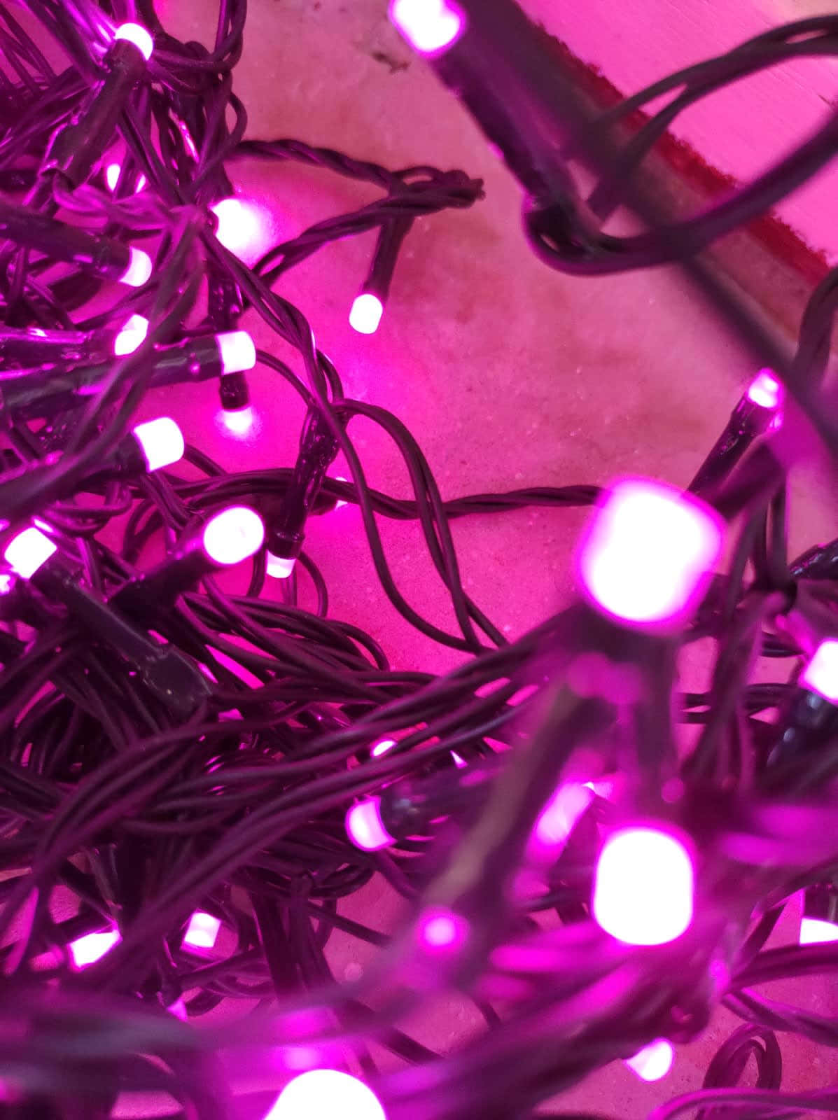 A String Of Pink Fairy Lights Blossoming In The Night Background