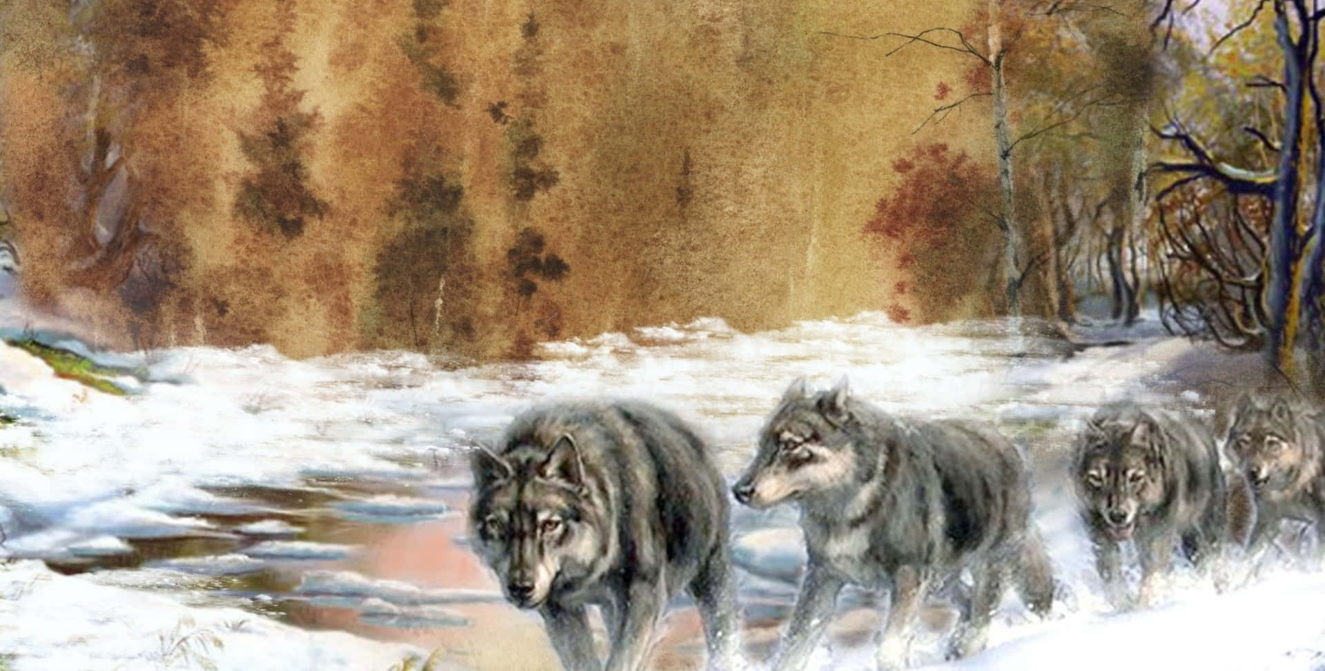 A Strong Wolf Pack Stands Together, Protecting Each Other In The Wild. Background
