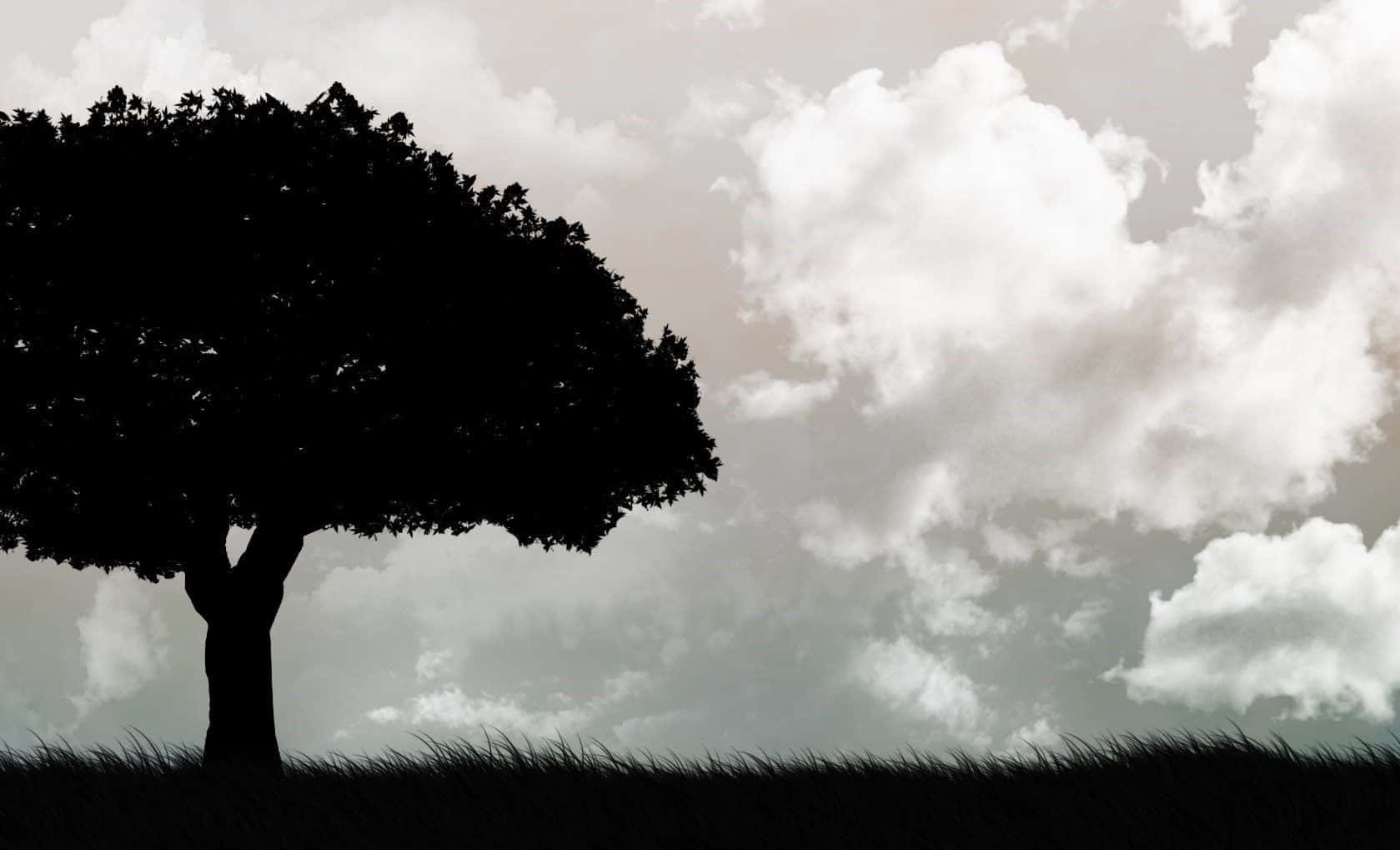 A Stunning Black And White Tree Silhouette Against A Cloudy Sky Background