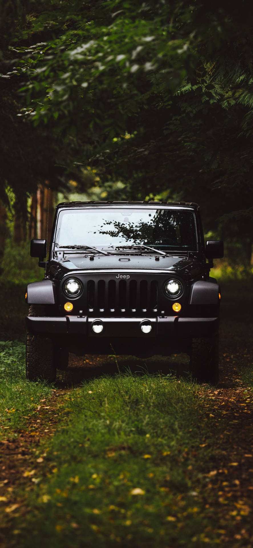 A Stunning Black Jeep Wrangler Venturing Through A Secluded Forest. Background