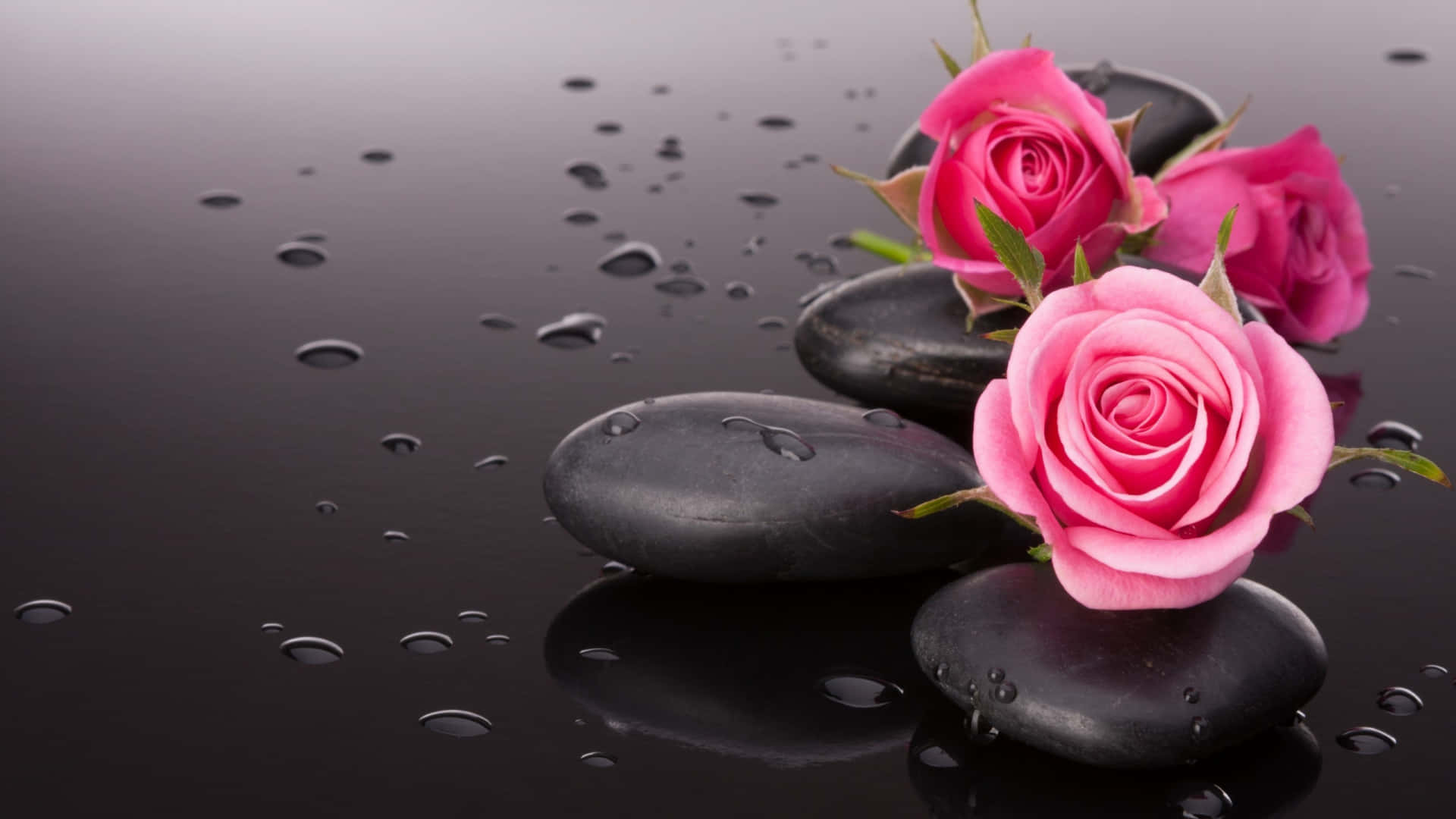 A Stunning Blend Of Bold Black And Delicate Pink In A Beautiful Floral Tapestry. Background