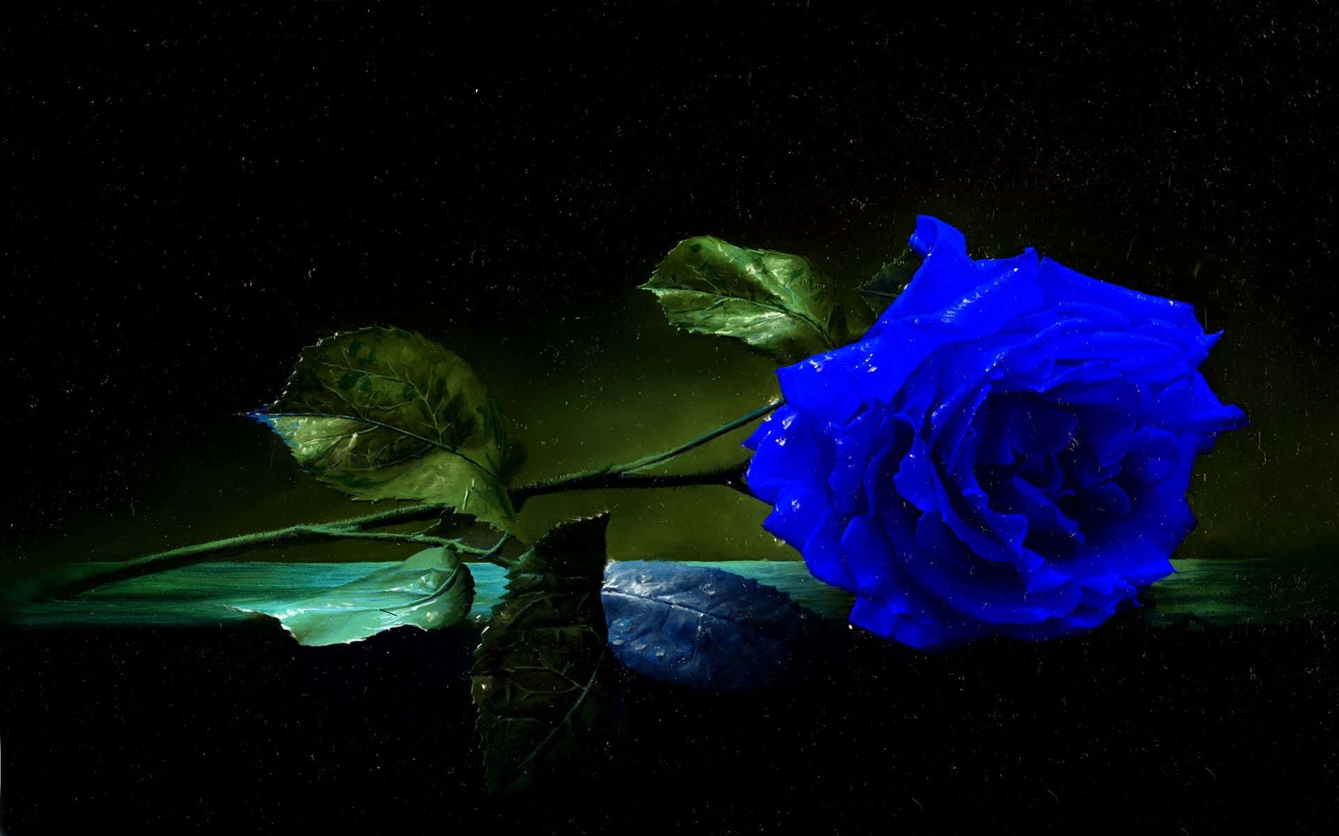 A Stunning Blue Rose, Symbolizing The Rare And Mysterious.