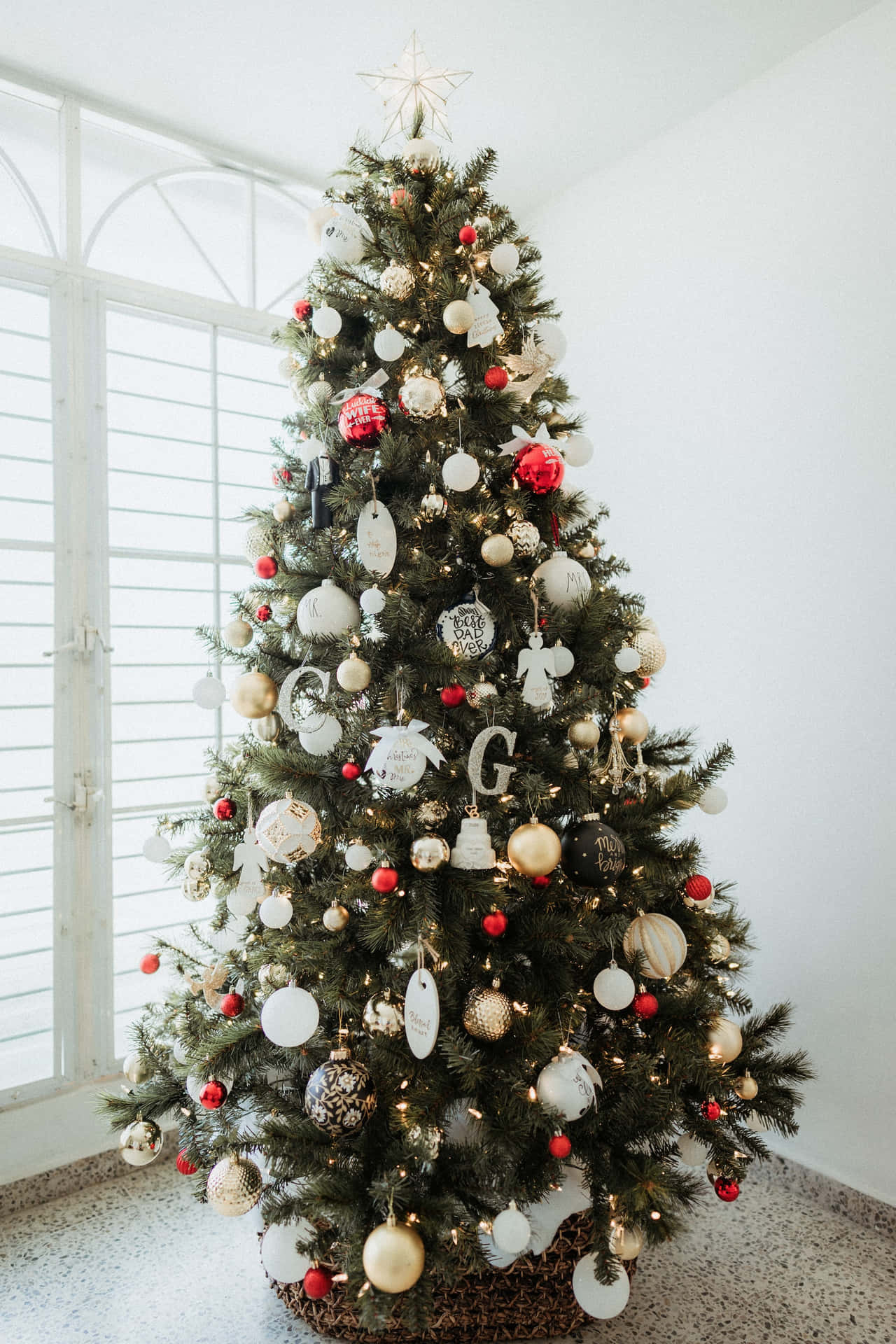A Stunning Christmas Tree Brings Aesthetic Vibes To The Holiday Season.