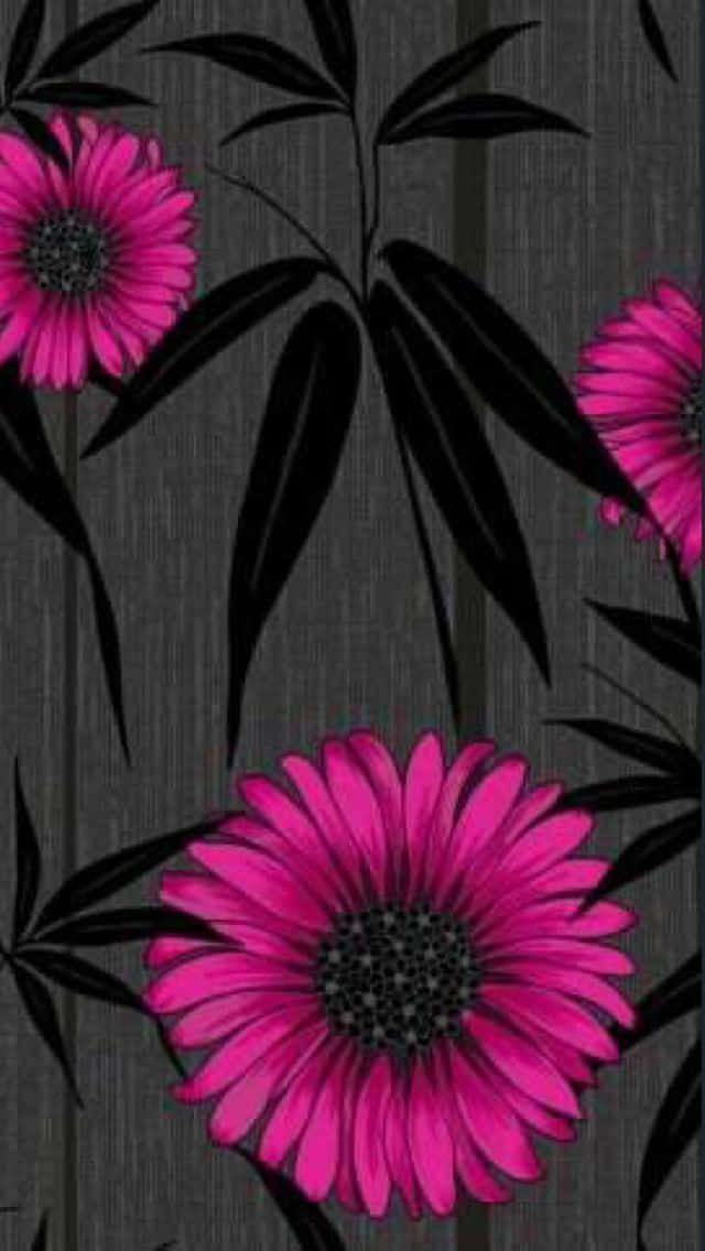 A Stunning Display Of Black And Pink Florals Background