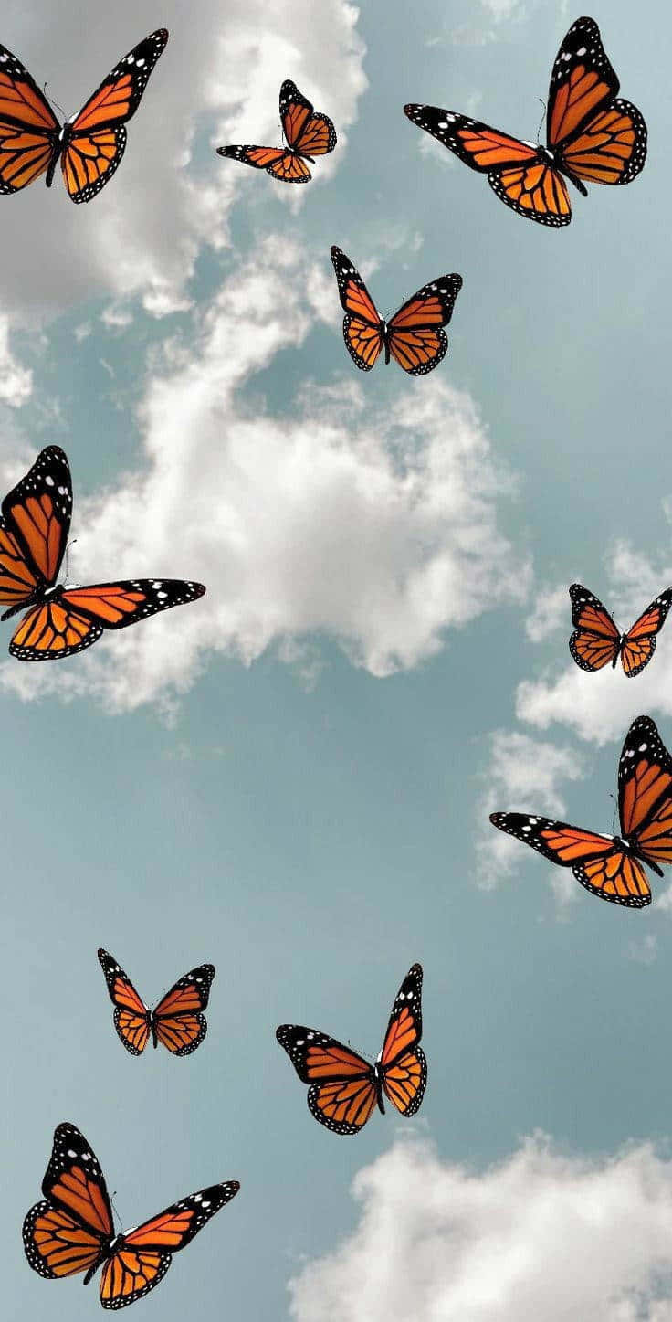 A Stunning Kaleidoscope Of Monarch Butterflies In The Sky Background