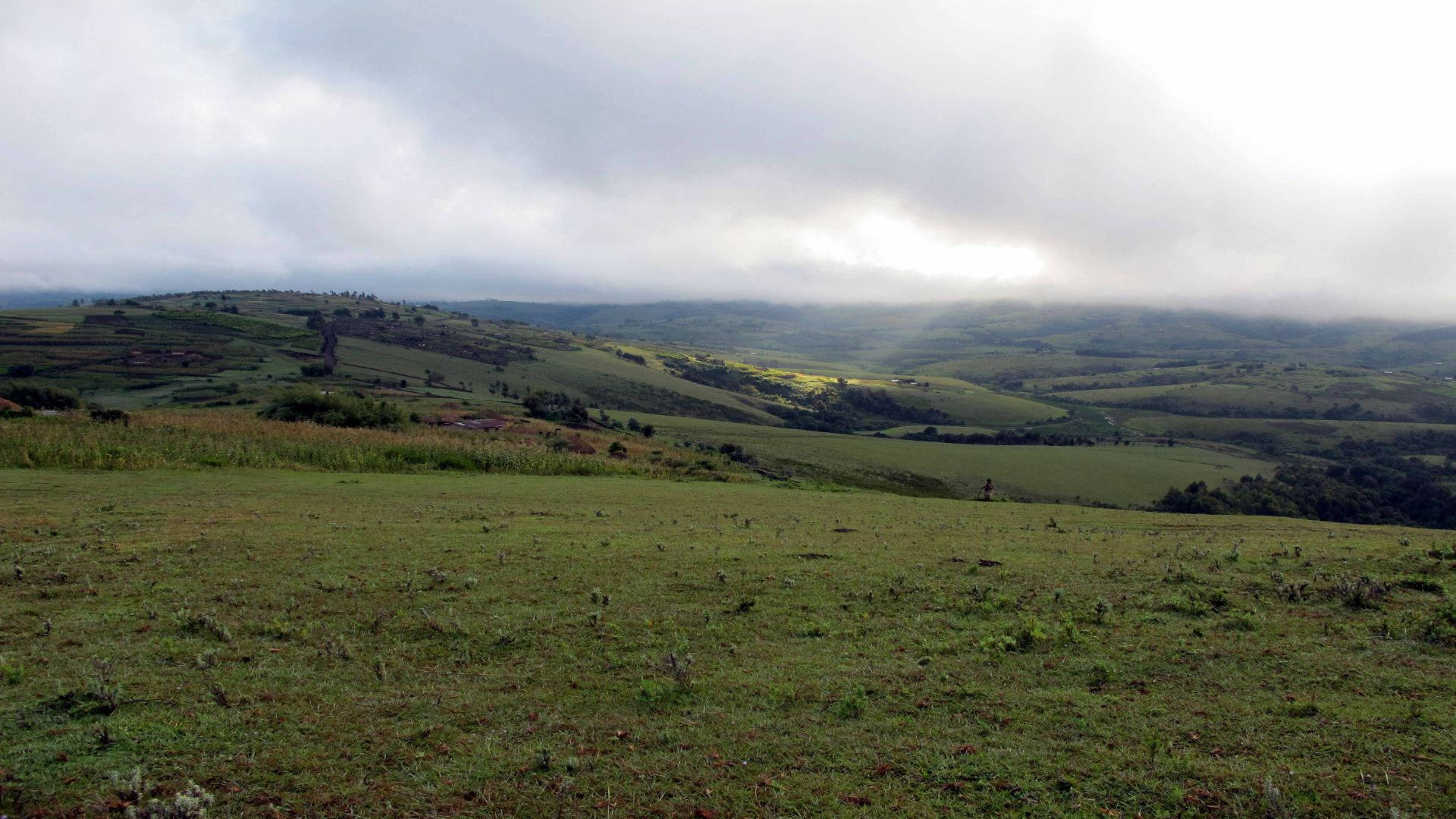 A Stunning Panorama Of Green Fields In Burundi Background