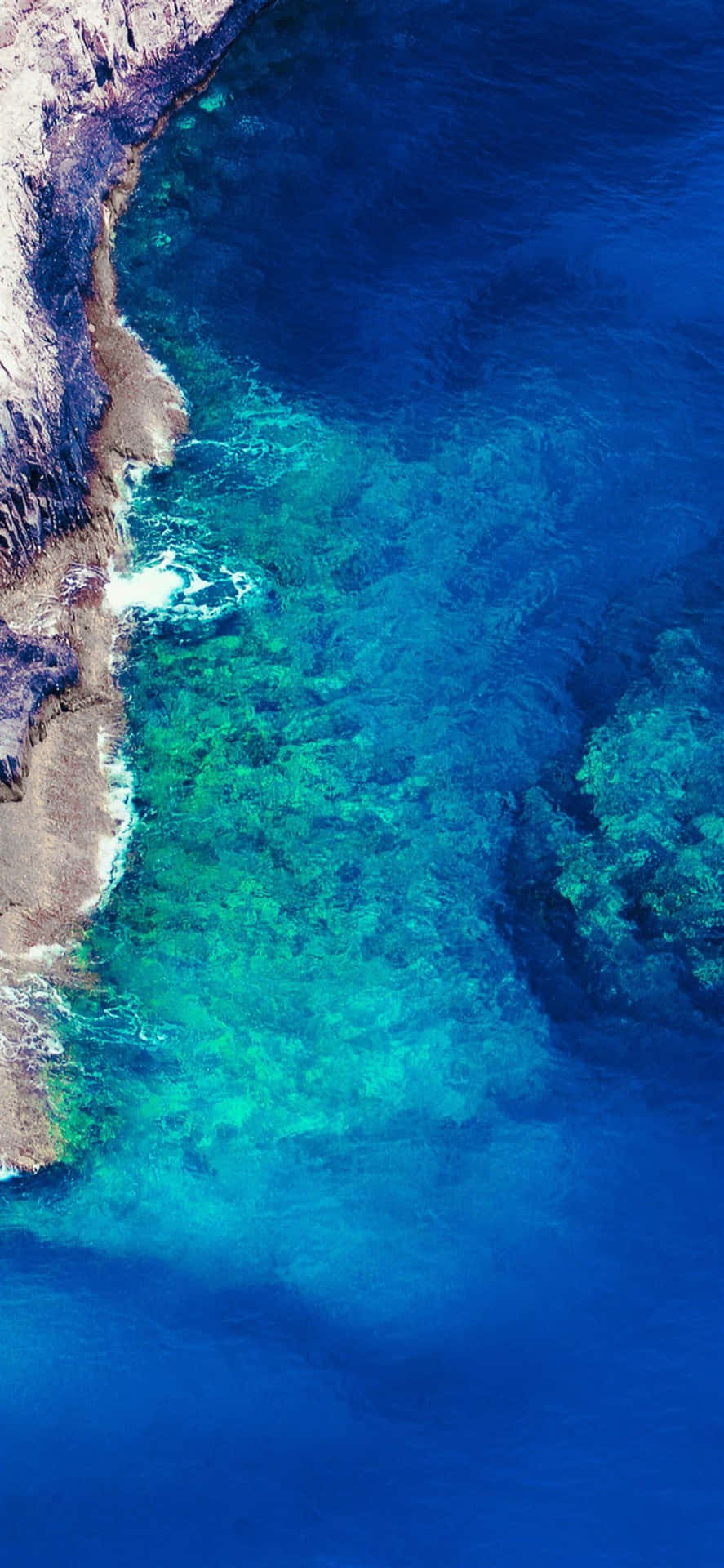 A Stunning View Of A Beautiful Beach With A Lush Green Forest Behind Background