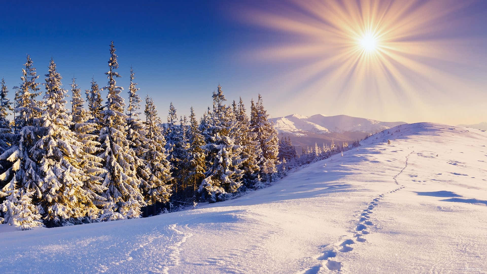 A Stunning View Of A Snow-covered Landscape Background