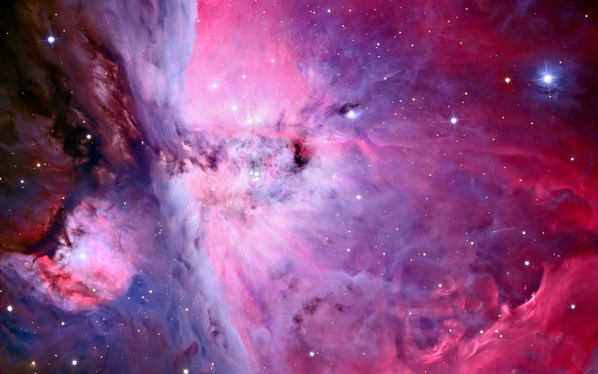 A Stunning View Of Pink Floral Space Background