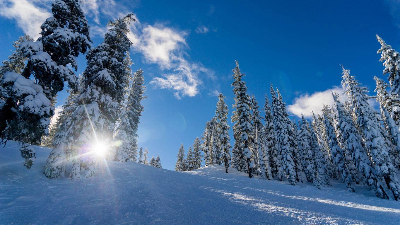 A Stunning Winter Scene Background