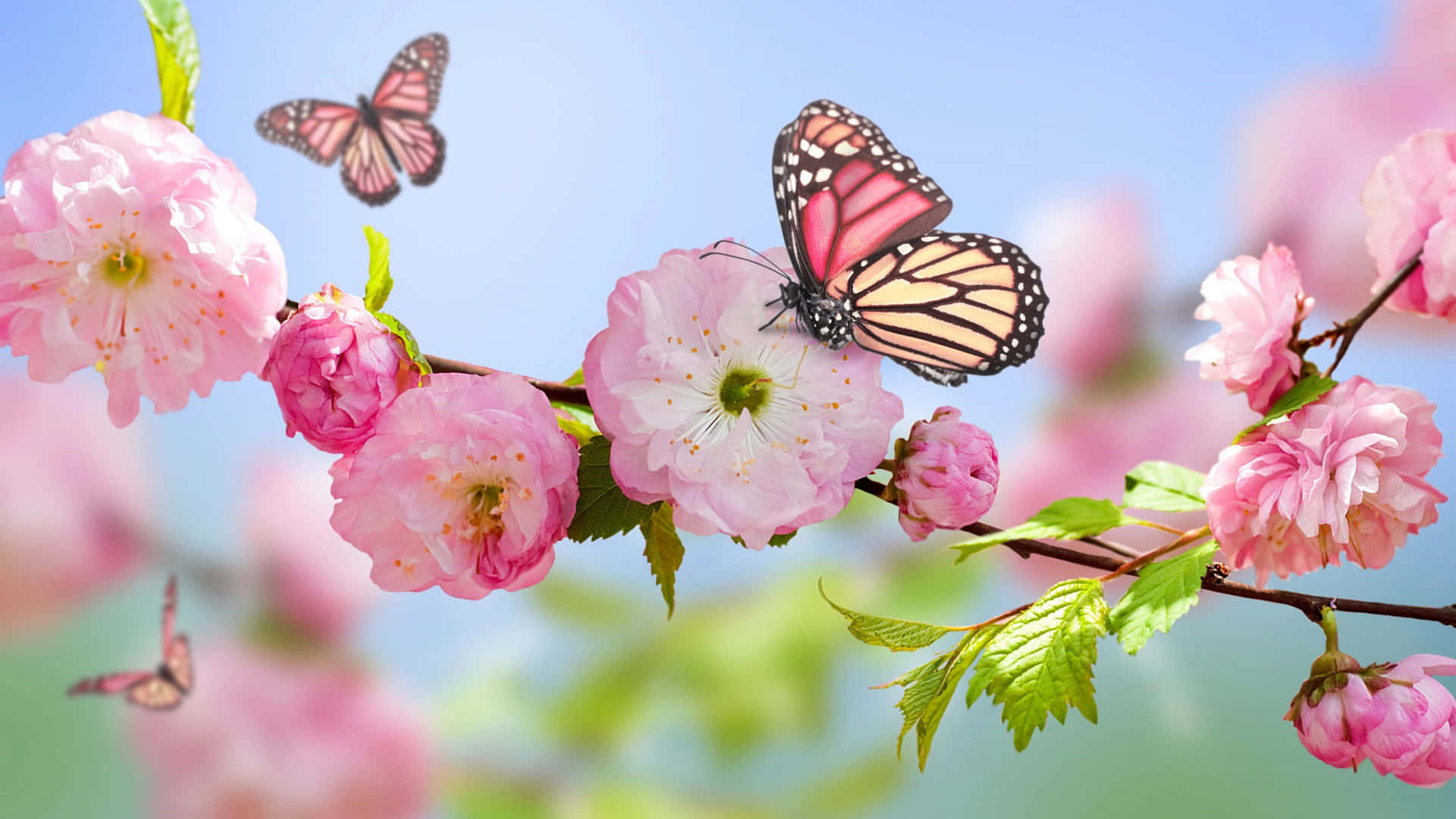 A Stylish Laptop Adorned With Colorful Butterflies Background