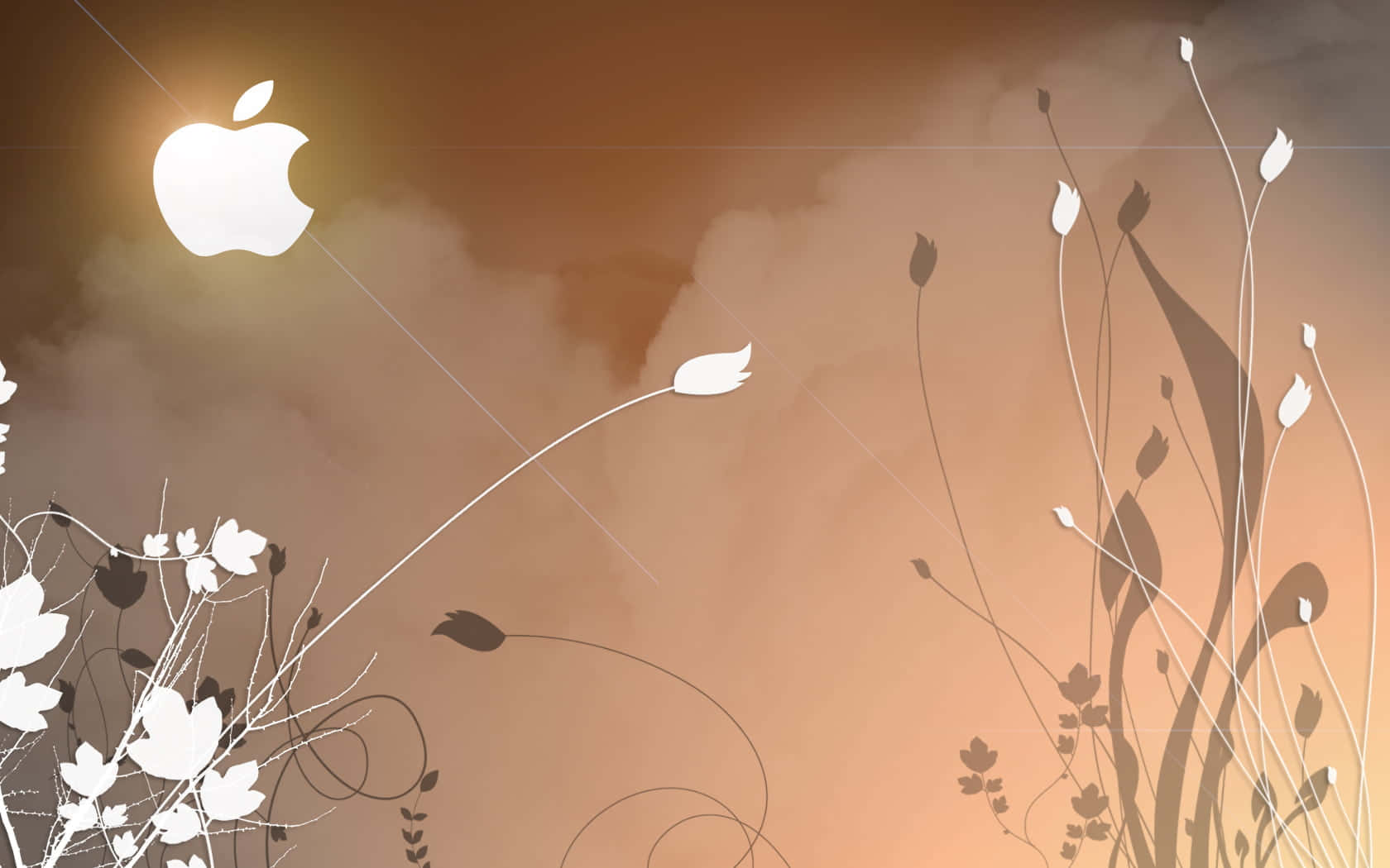 A Stylish Rose Gold Laptop To Make You Stand Out Background