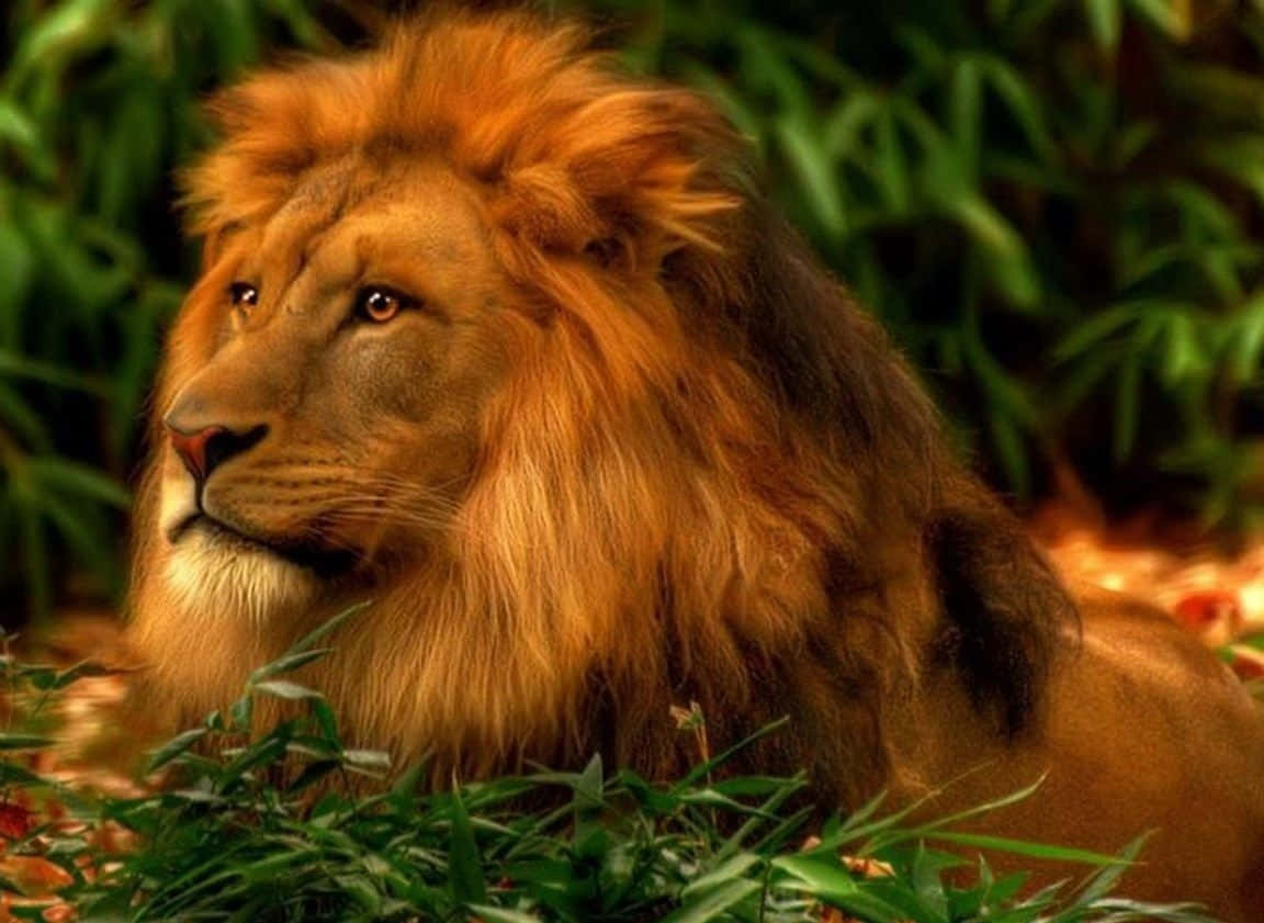 A Stylized Abstract Lion Roaring Majestically Background