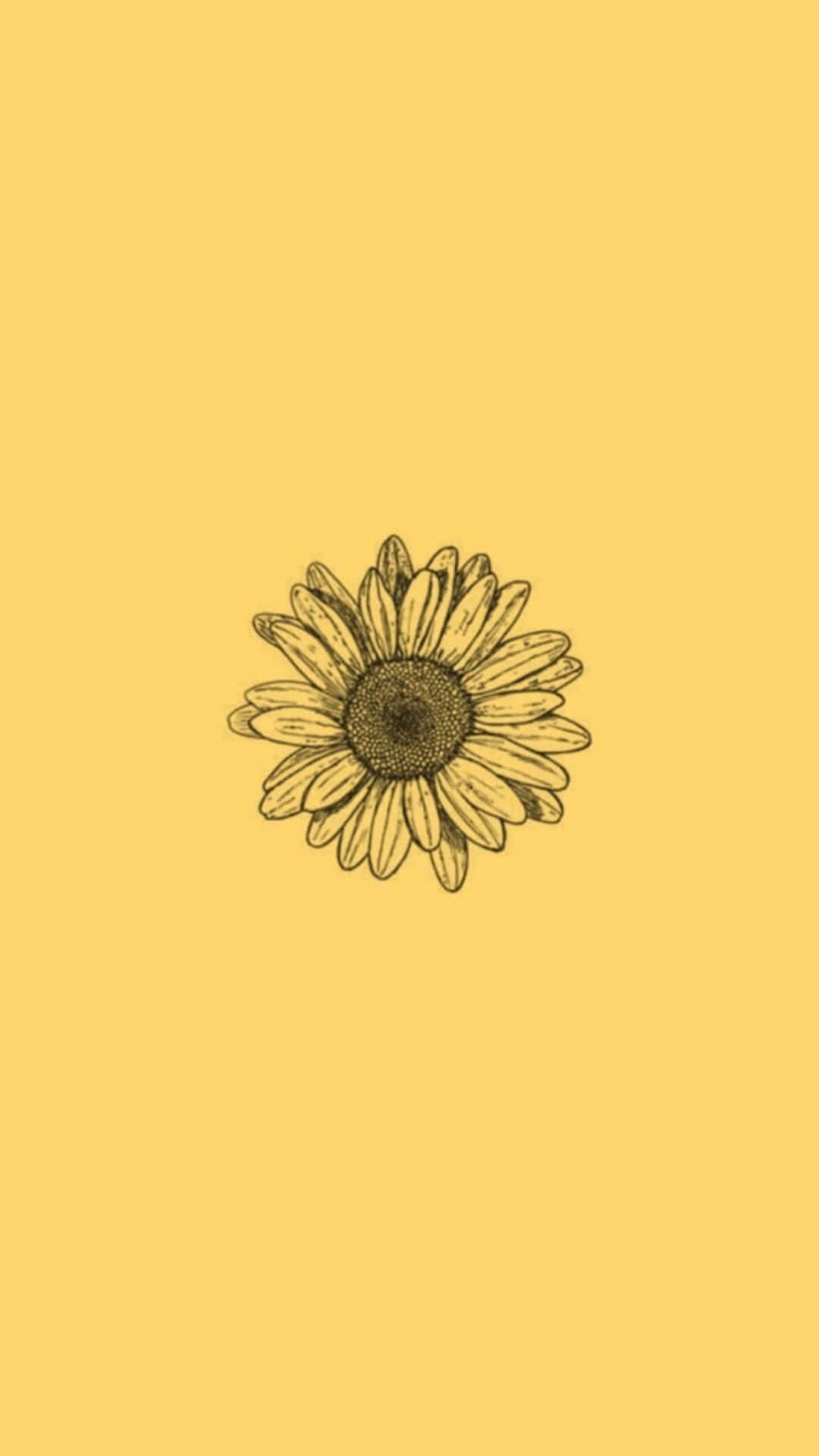 A Sunflower On A Yellow Background Background