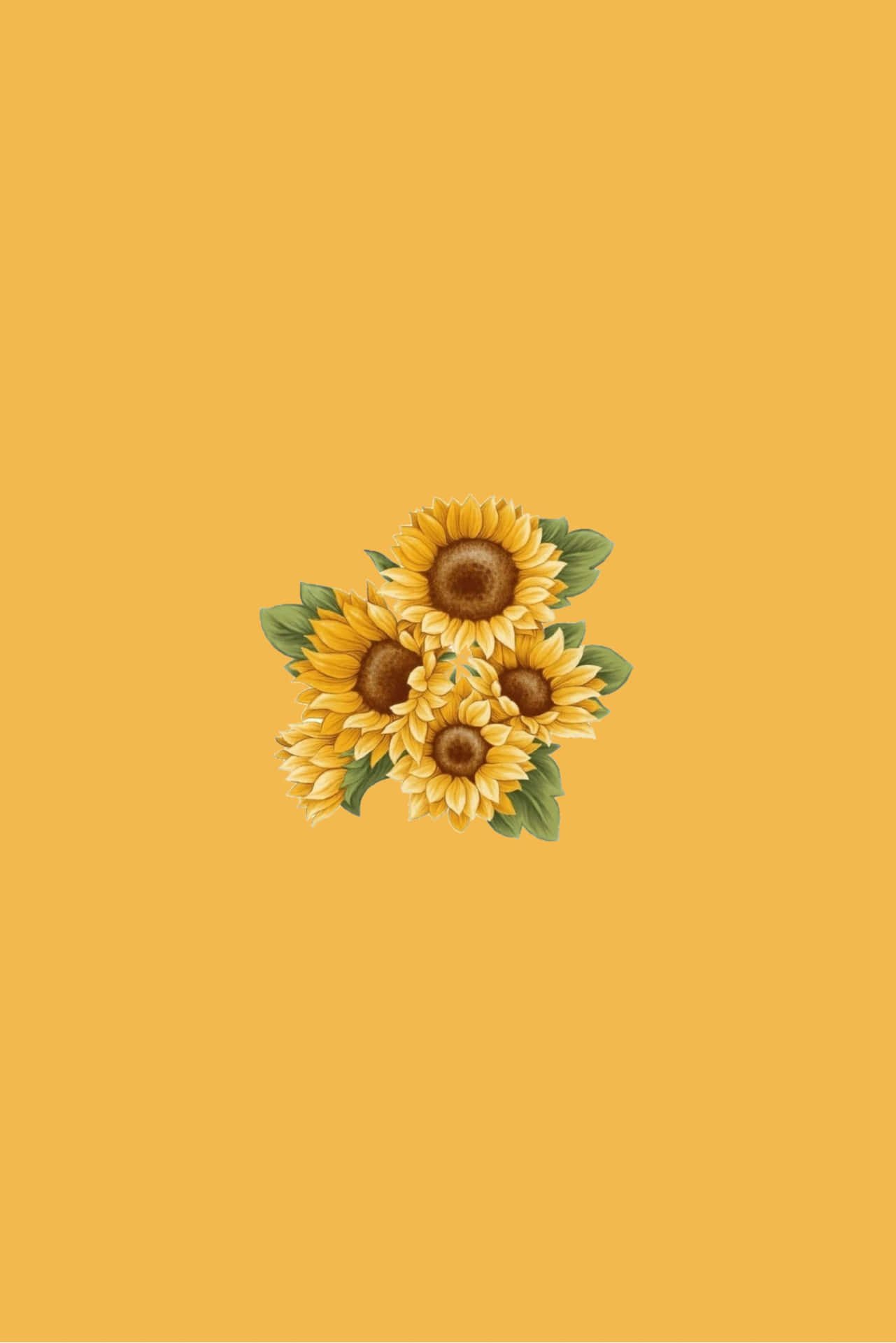A Sunflower Surrounded By Its Bright Yellow Petals Background