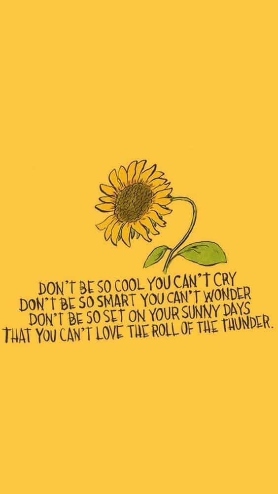 A Sunflower With The Words Don't Be Good You Can't Cry If You Can't Wonder That You're On Your Own Background