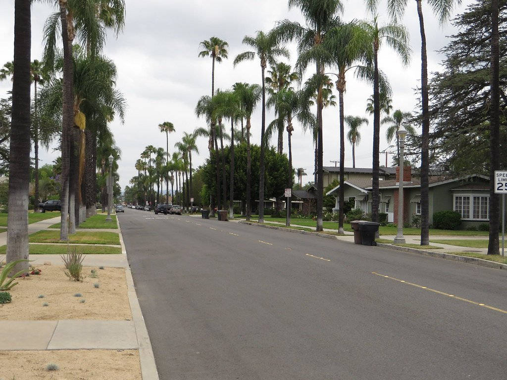 A Sunny Day In An Anaheim Neighborhood