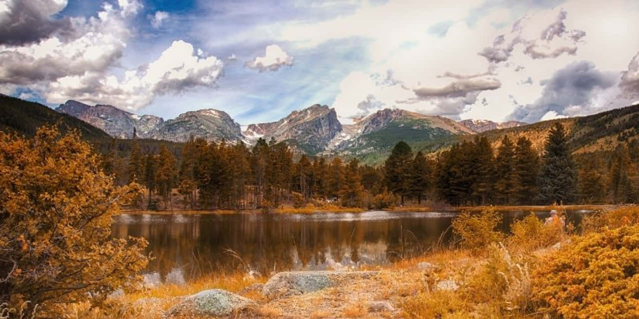 A Sunny Summer Day In Yellowstone, Wyoming