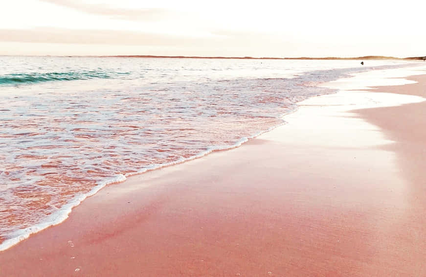 A Sunrise On A Dazzling Pink Beach Background