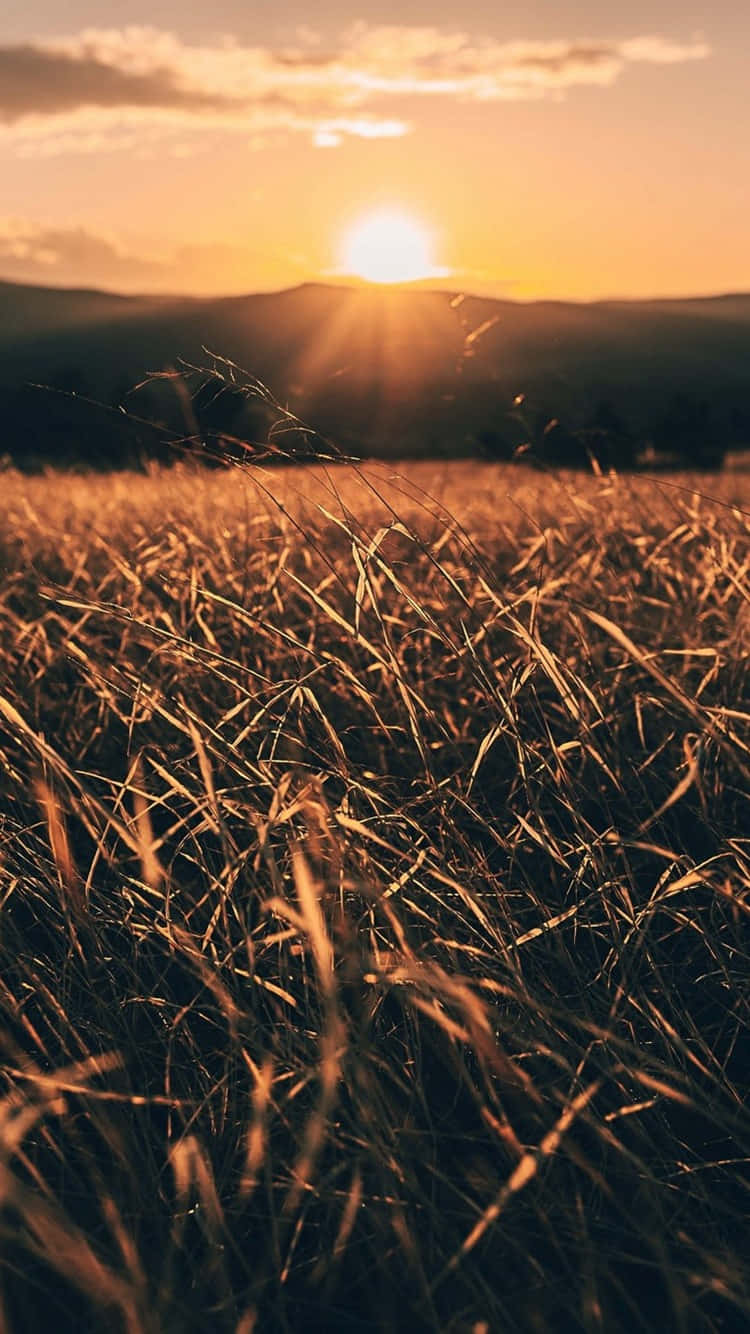 A Sunrise Over The Horizon Background