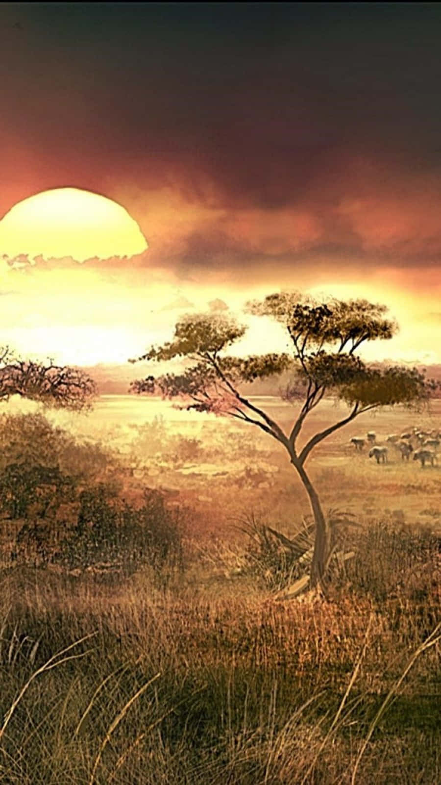 A Sunset In The Savannah Background