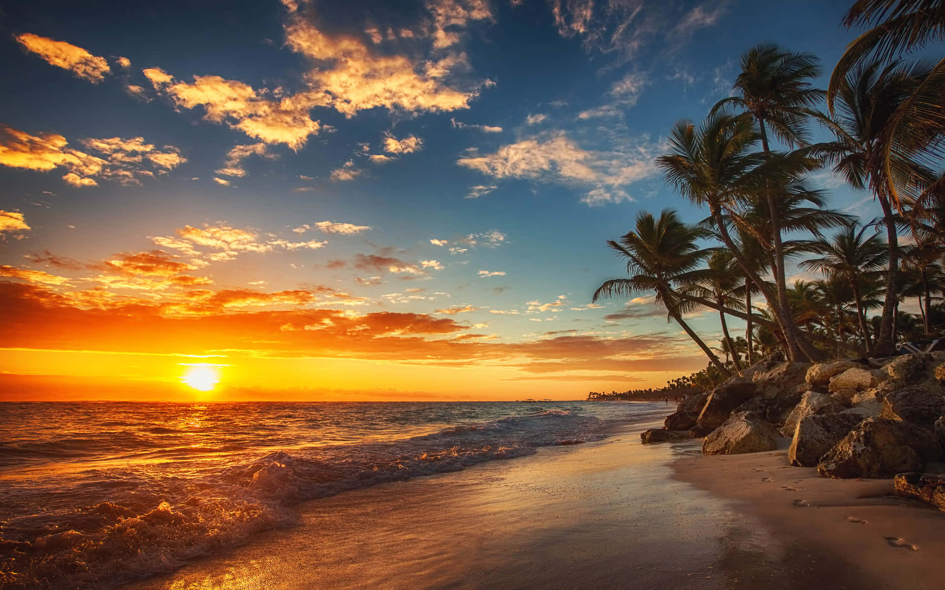 A Sunset Over A Beach With Palm Trees Background