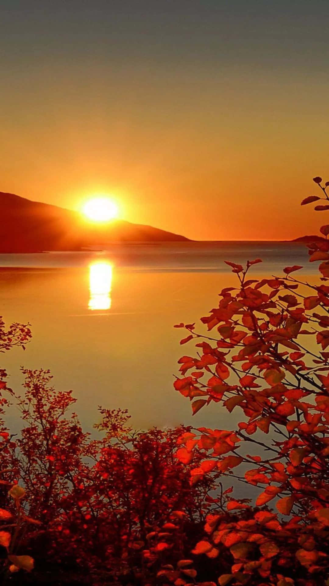 A Sunset Over A Lake With Red Leaves Background