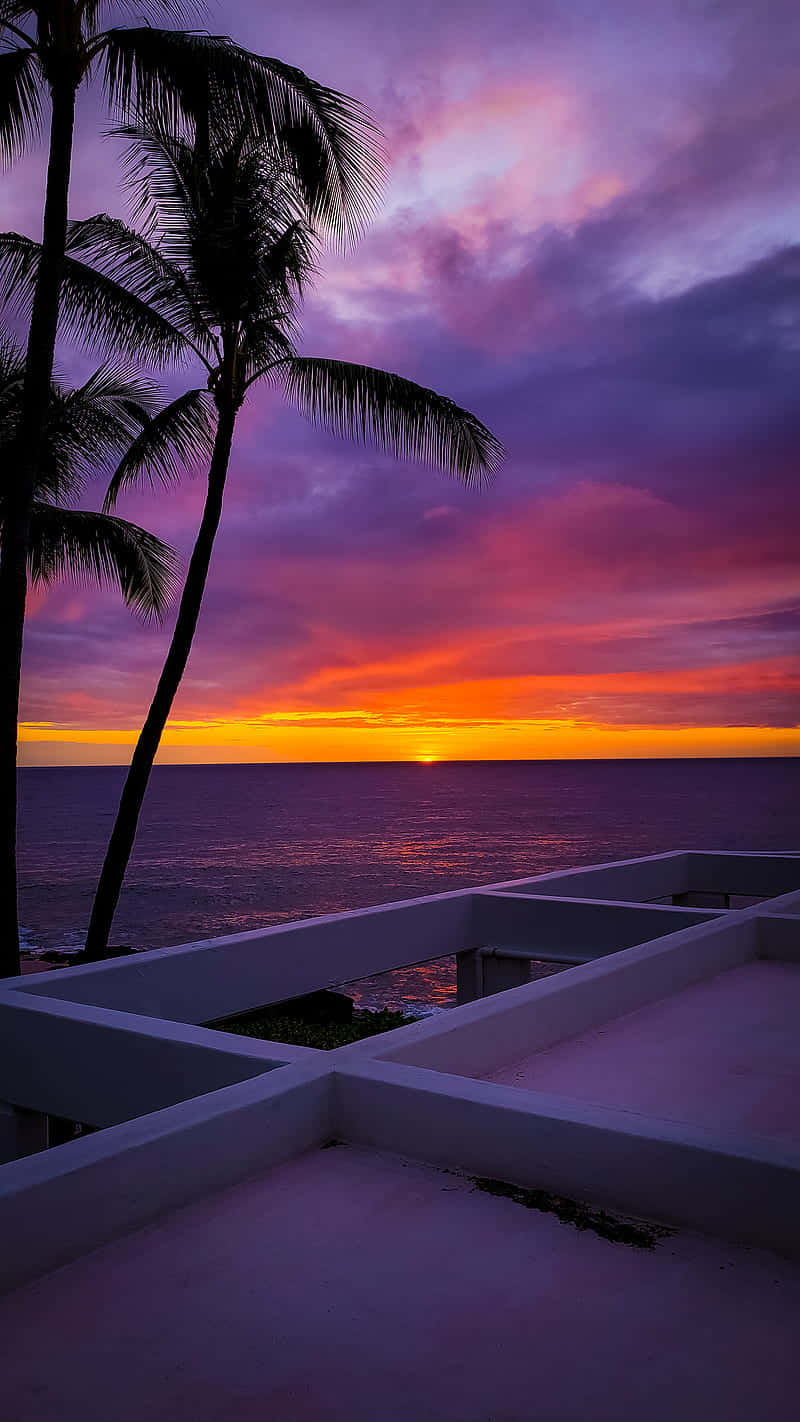 A Sunset Over A Palm Tree And Ocean Background