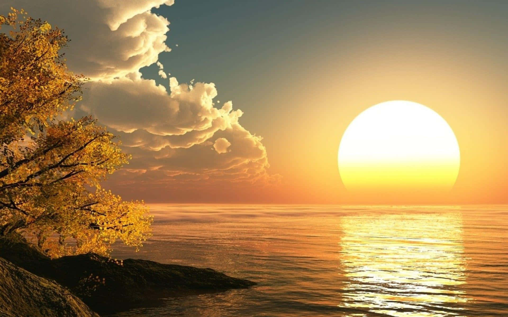 A Sunset Over The Ocean With A Tree