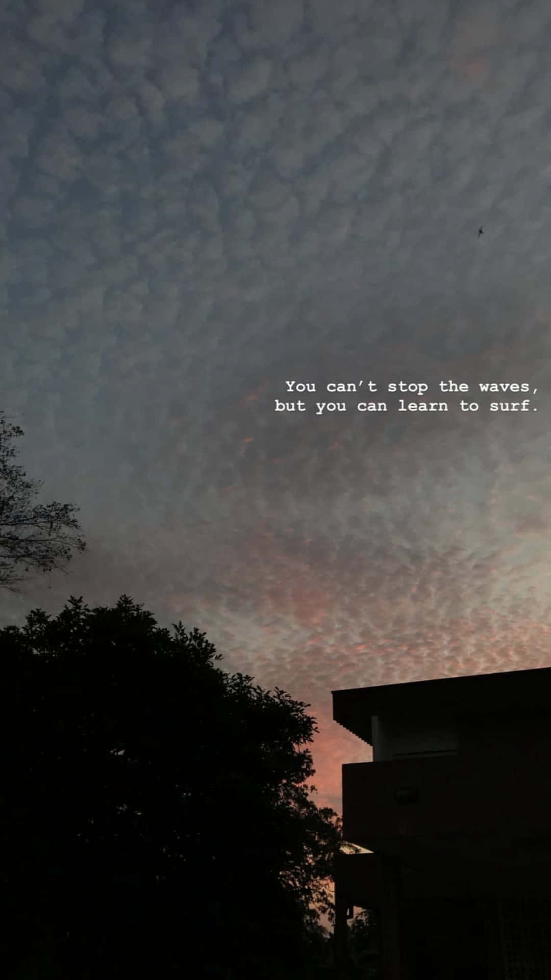 A Sunset With A Quote On The Sky Background
