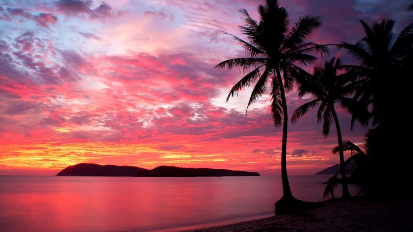 A Sunset With Palm Trees And A Colorful Sky